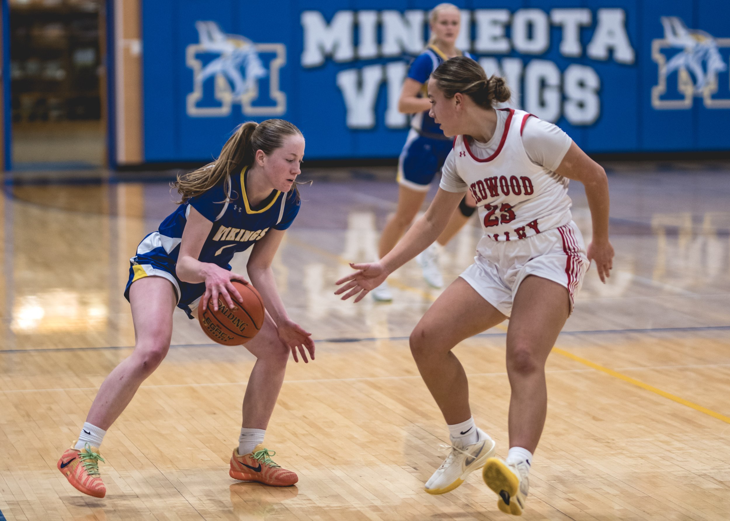 girls bball banner 2526 dark (82 of 195).JPG
