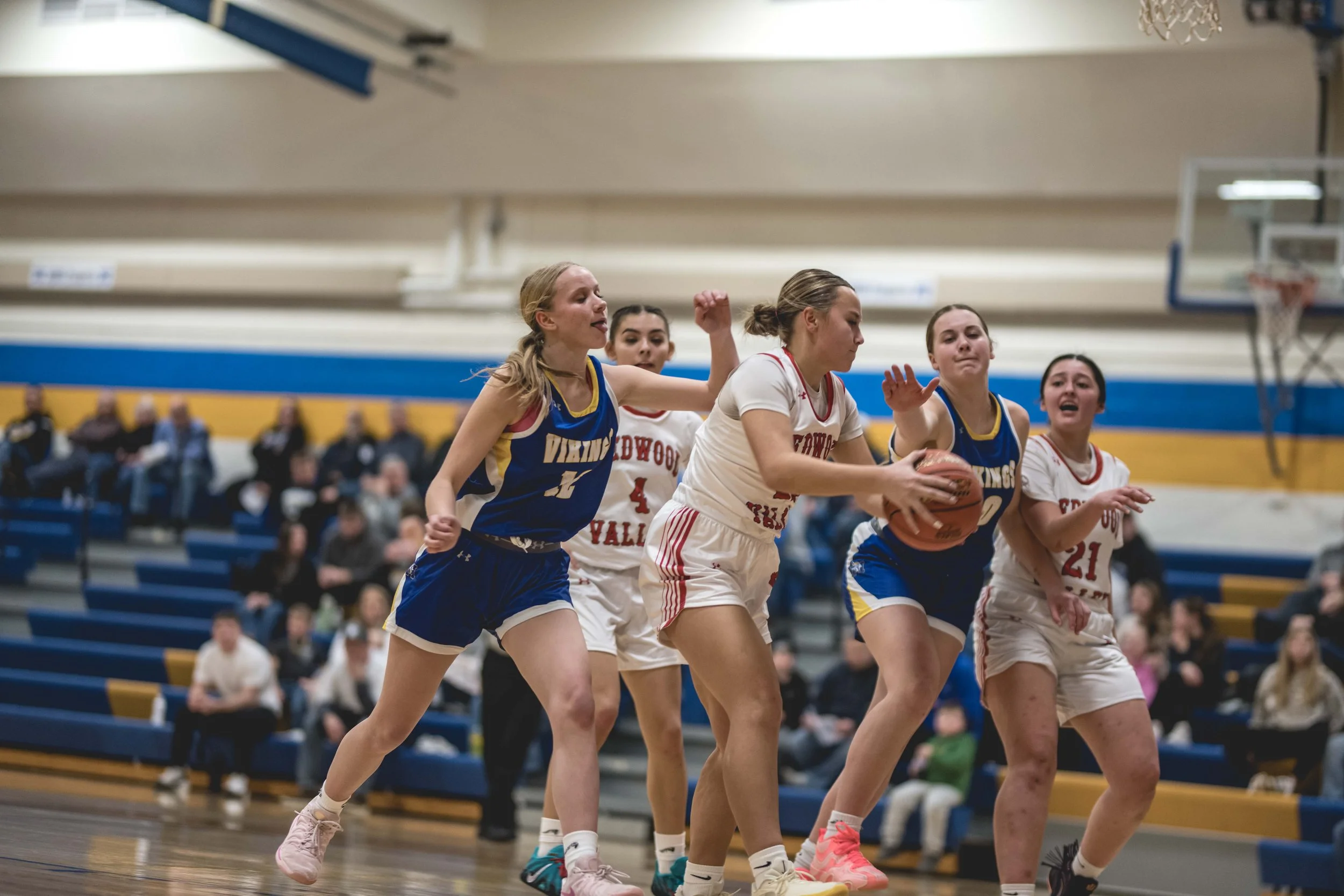 girls bball banner 2526 dark (153 of 195).JPG