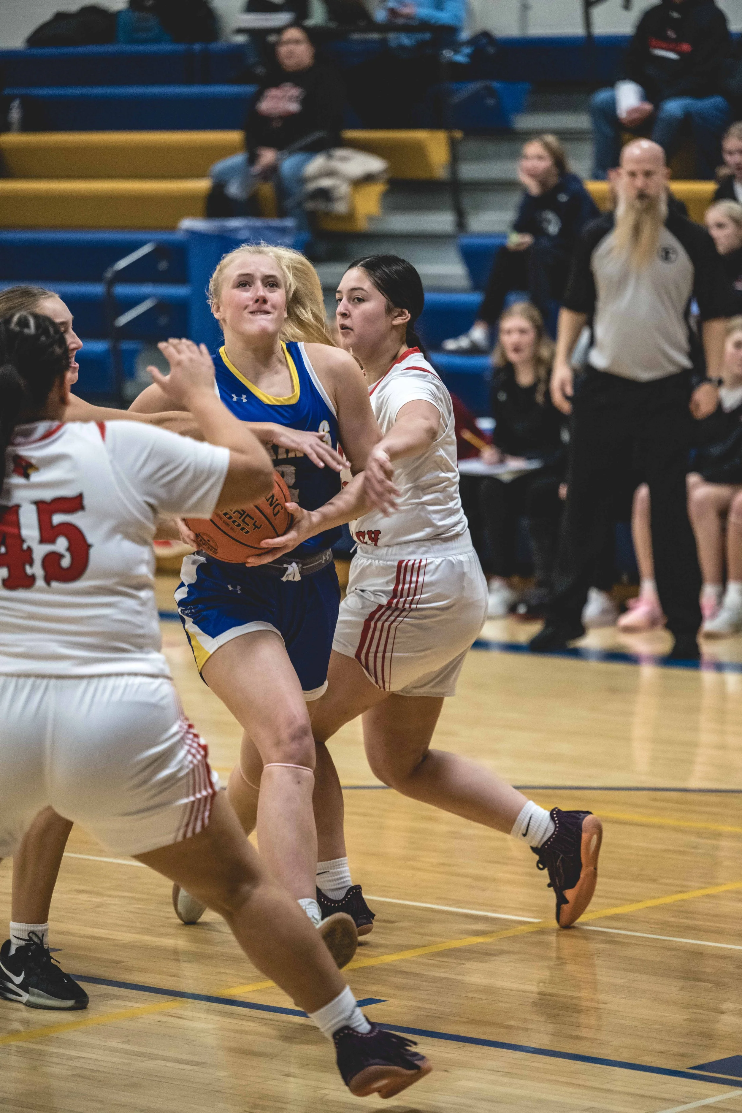 girls bball banner 2526 dark (12 of 195).JPG