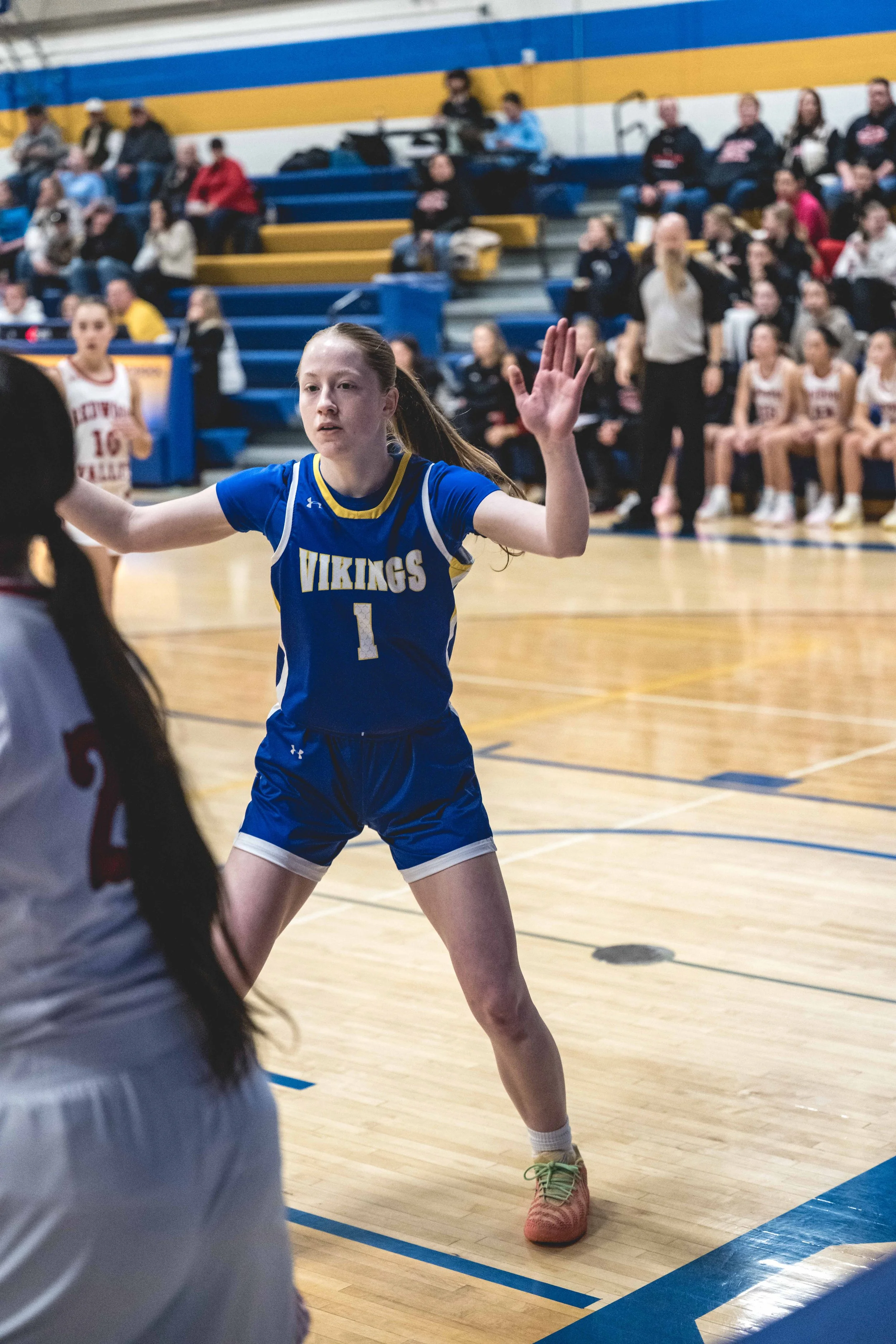 girls bball banner 2526 dark (17 of 195).JPG