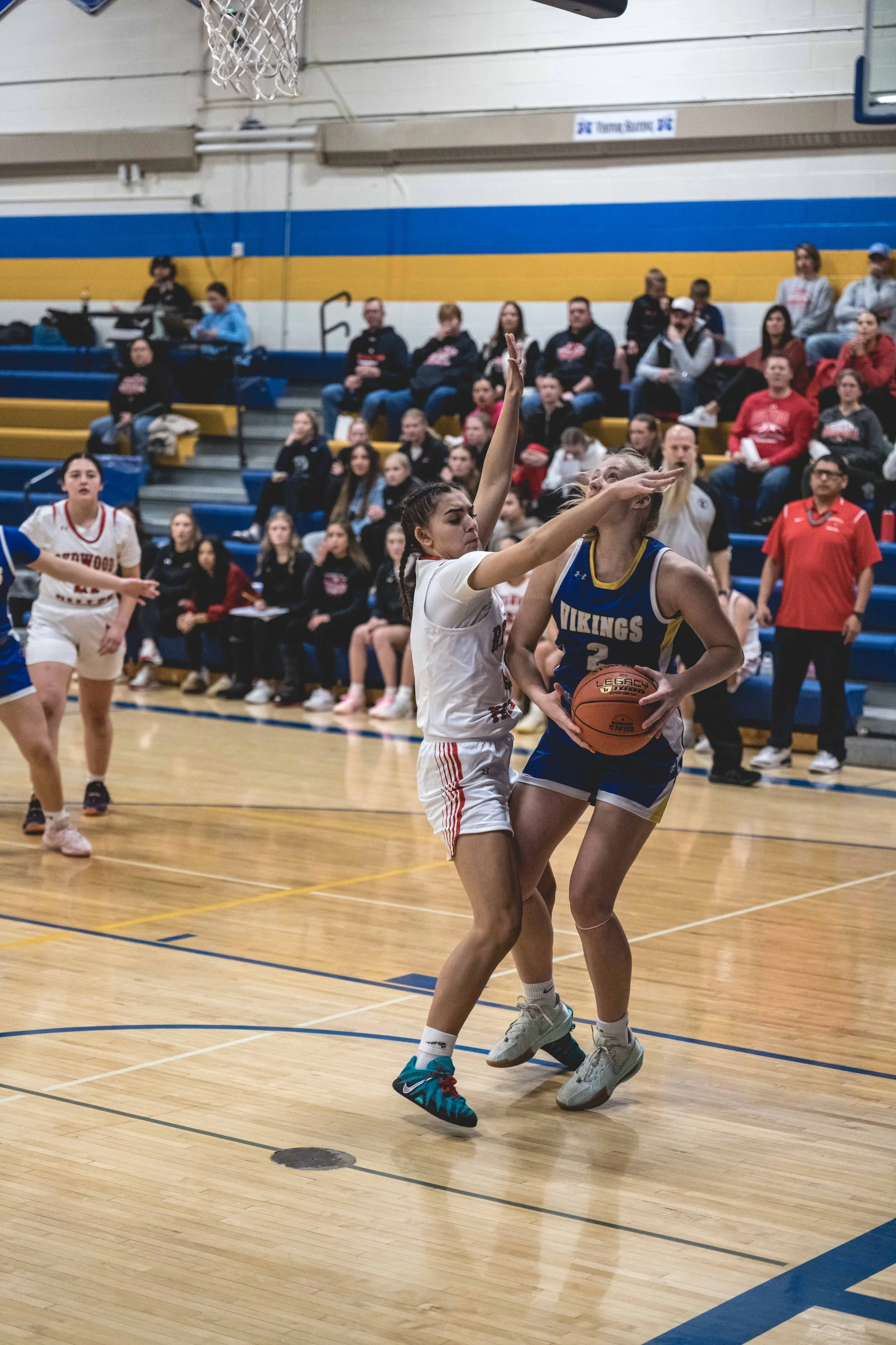 girls bball banner 2526 dark (20 of 195).JPG