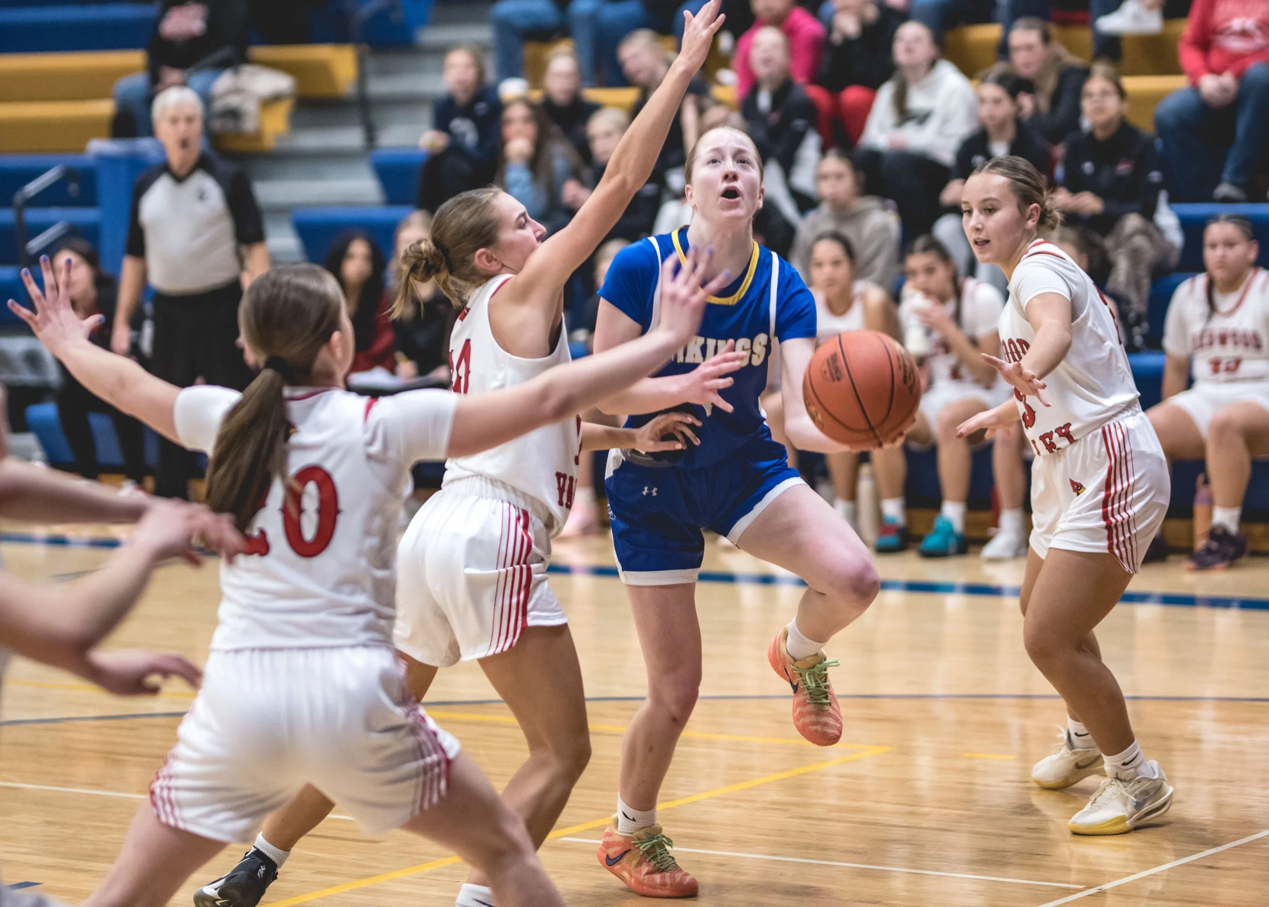girls bball banner 2526 dark (46 of 195).JPG