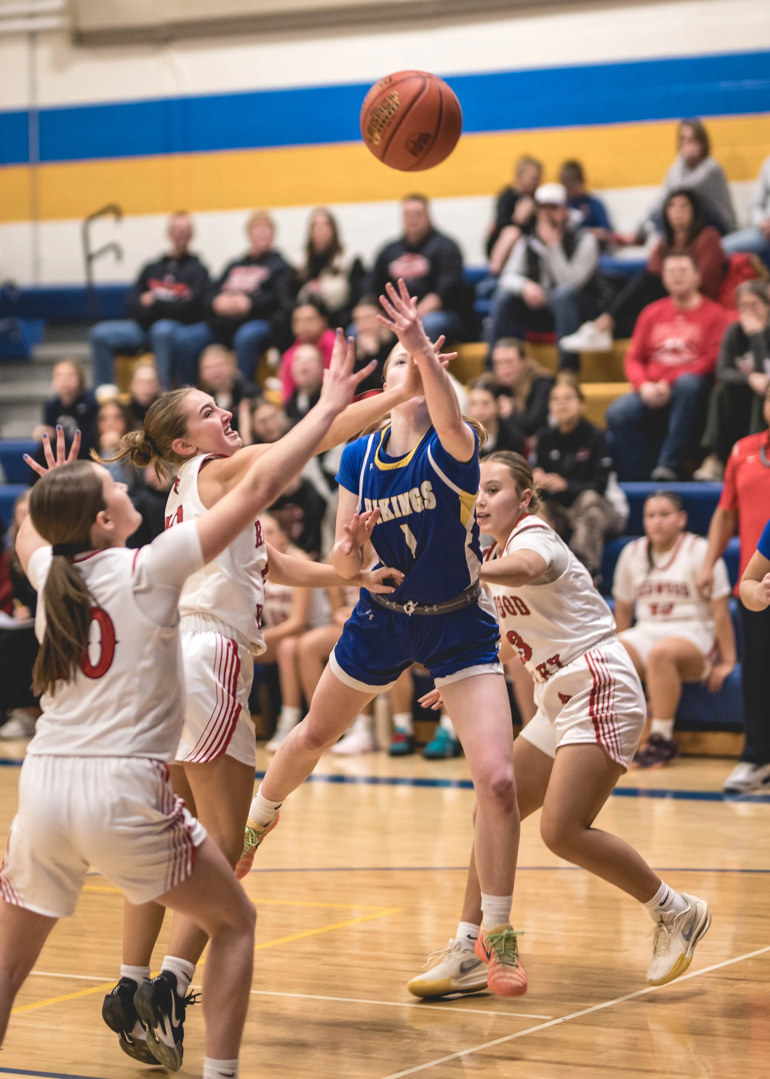 girls bball banner 2526 dark (47 of 195).JPG