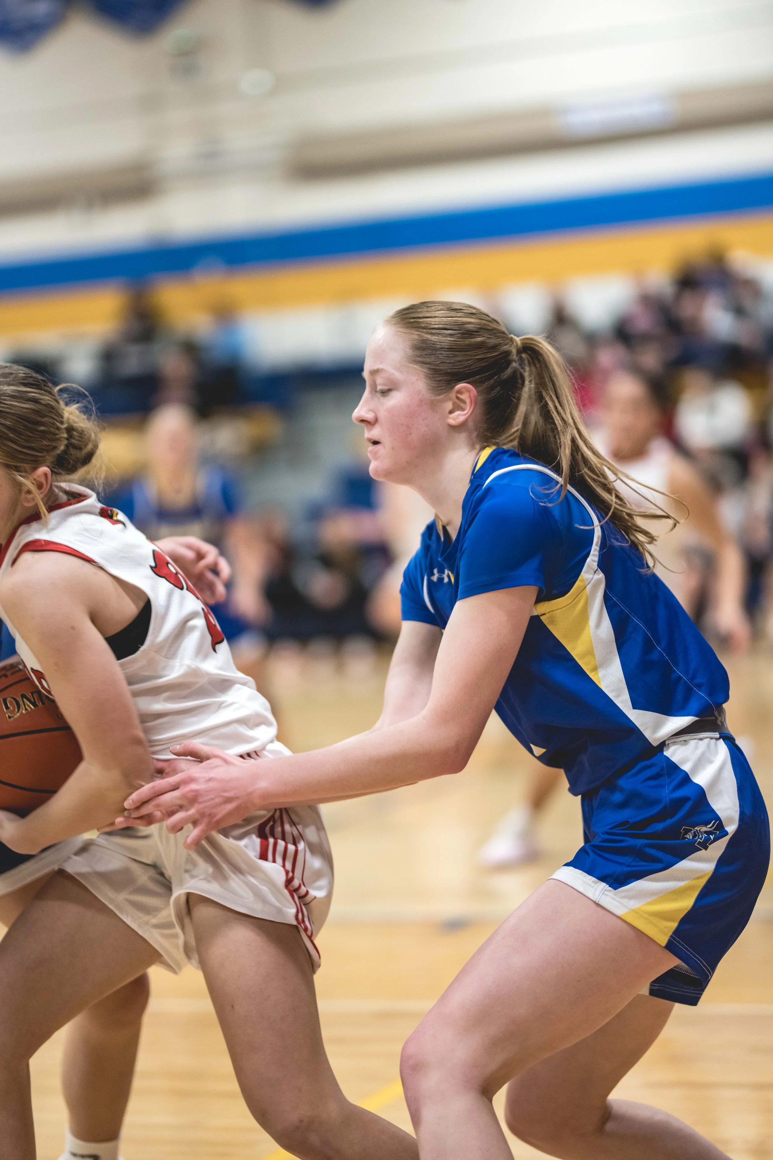 girls bball banner 2526 dark (68 of 195).JPG