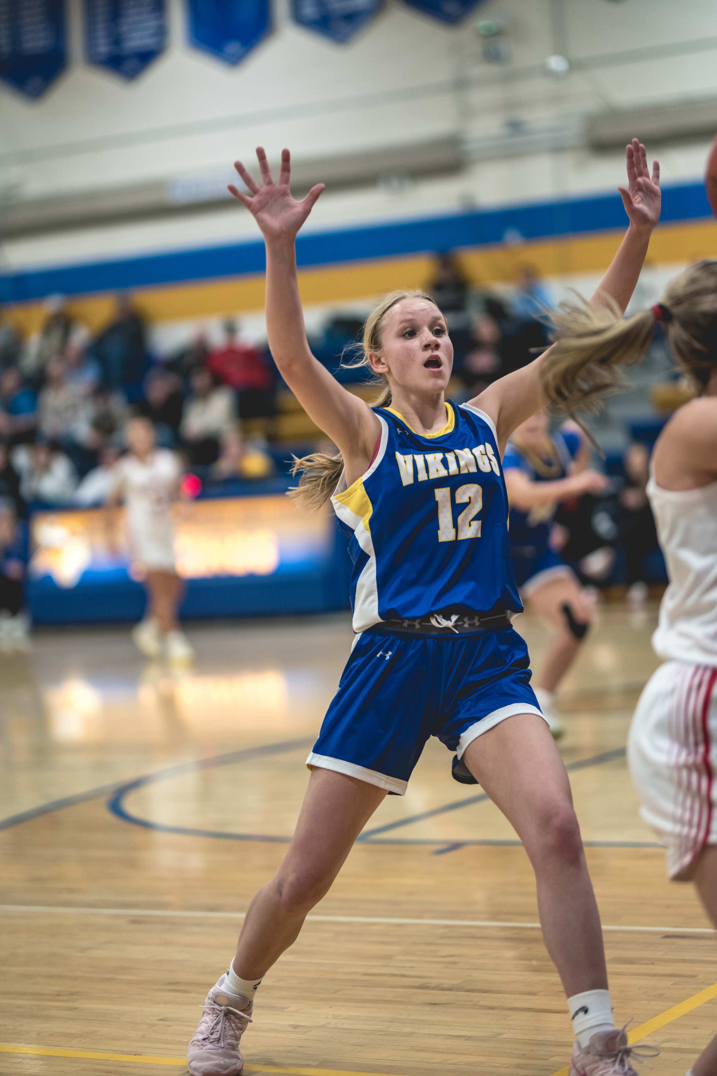 girls bball banner 2526 dark (76 of 195).JPG