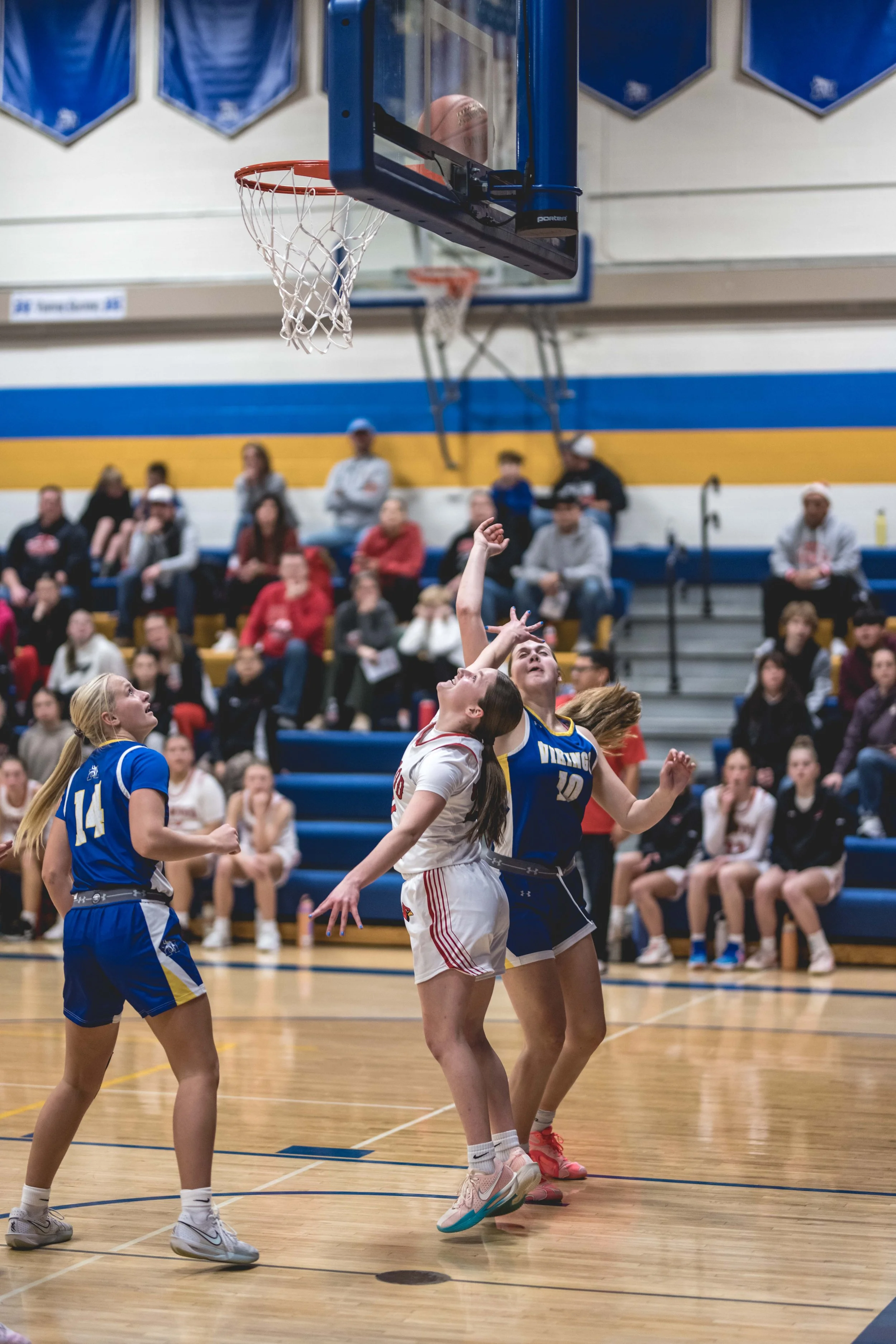 girls bball banner 2526 dark (88 of 195).JPG