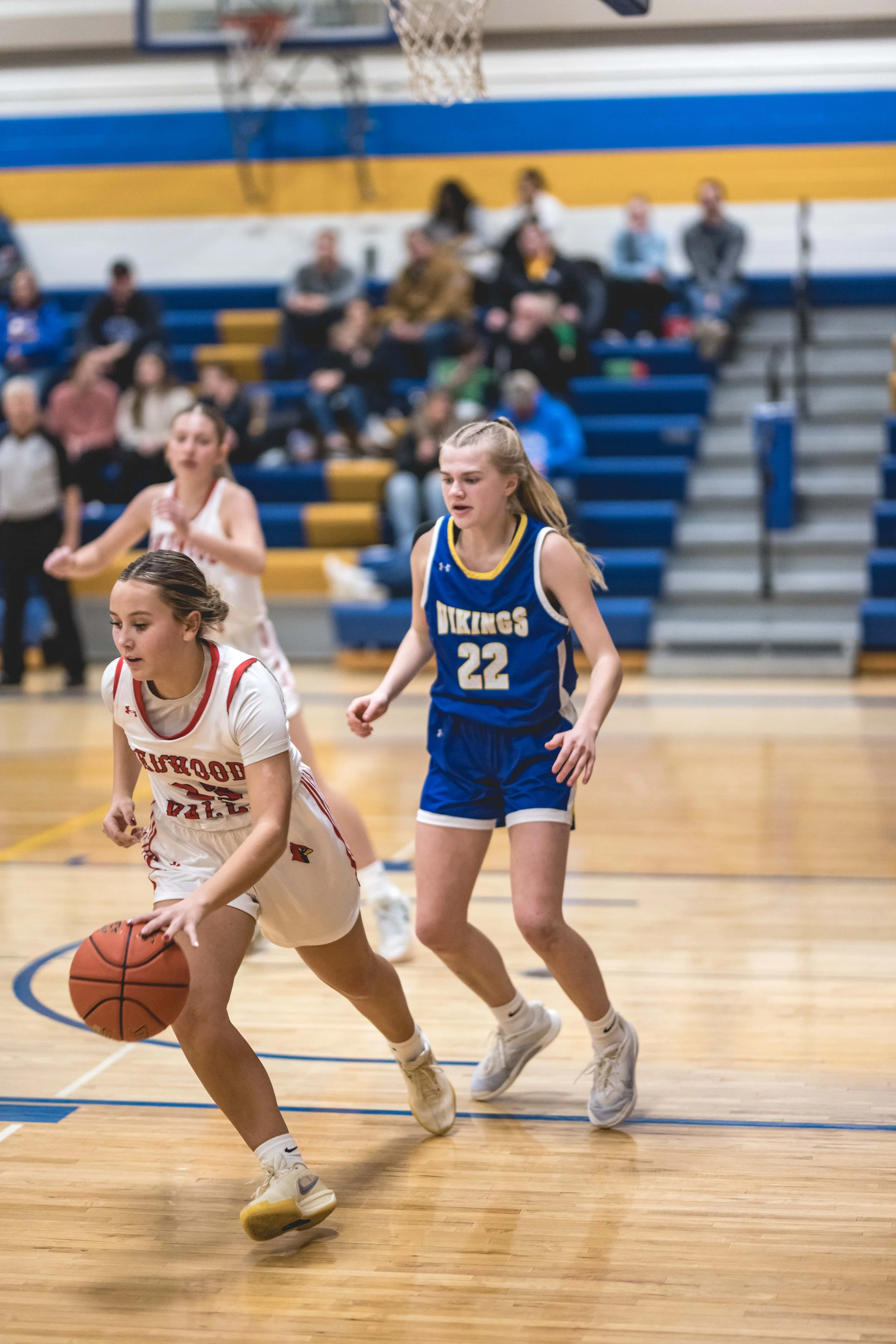 girls bball banner 2526 dark (189 of 195).JPG