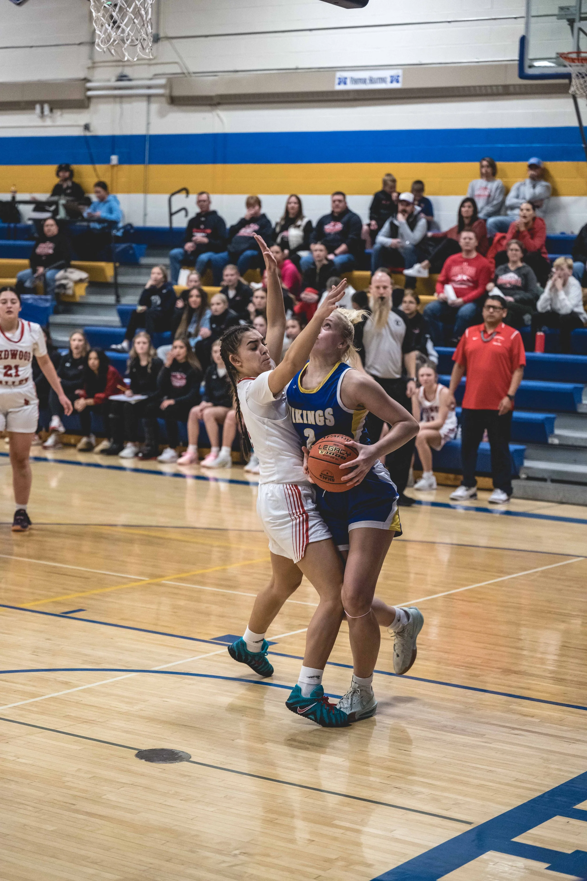 girls bball banner 2526 dark (19 of 195).JPG