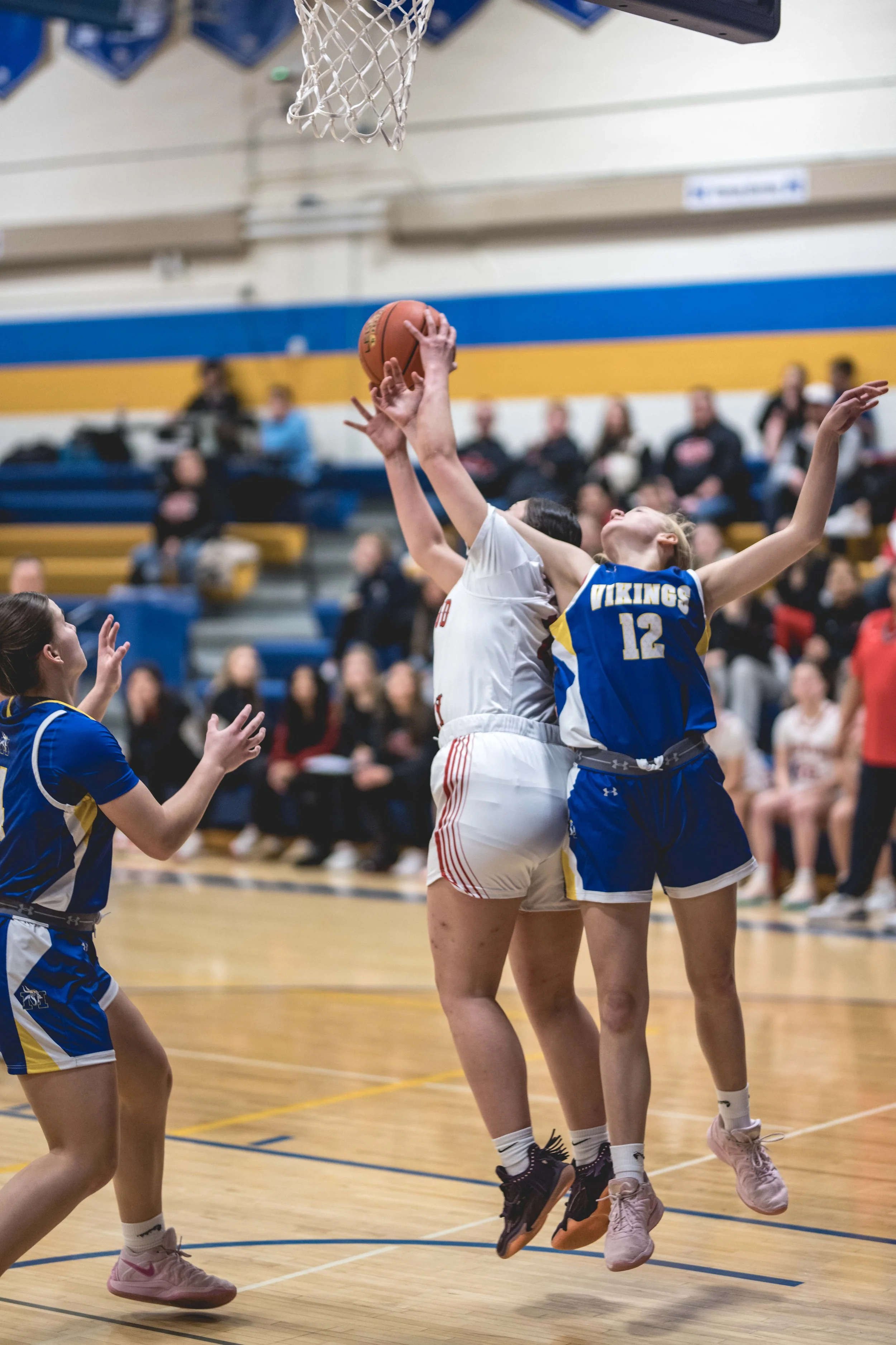girls bball banner 2526 dark (27 of 195).JPG