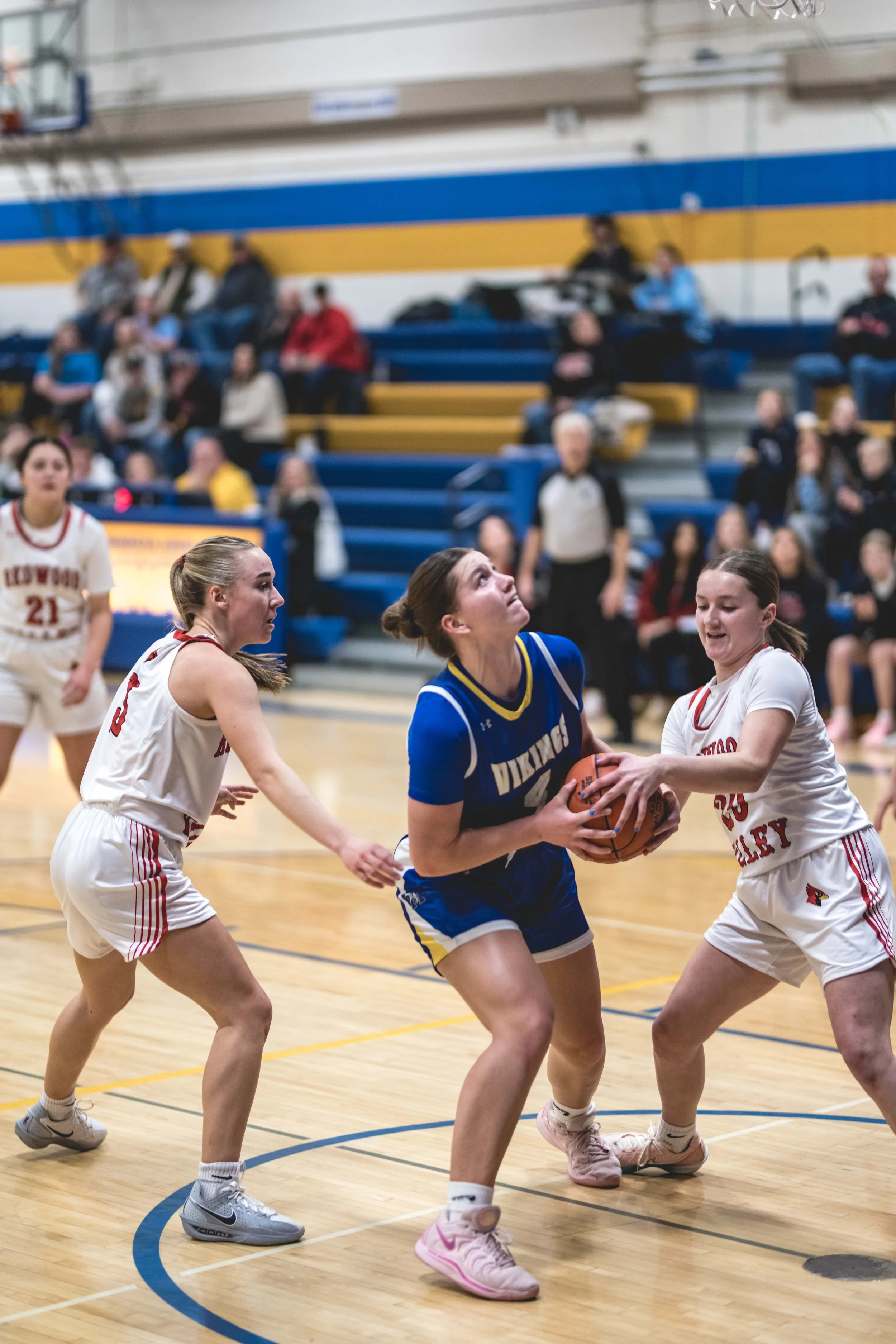 girls bball banner 2526 dark (50 of 195).JPG