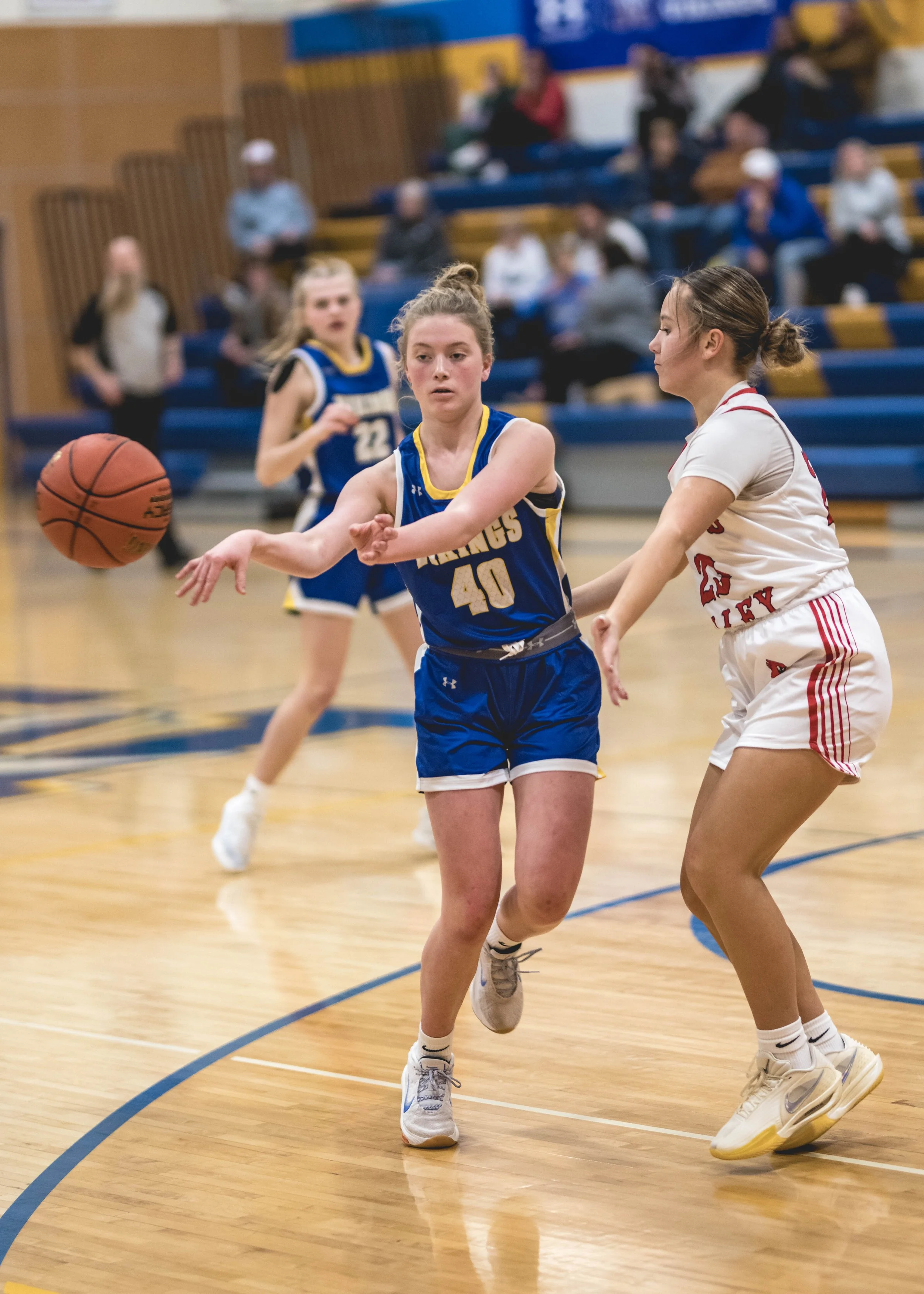 girls bball banner 2526 dark (178 of 195).JPG