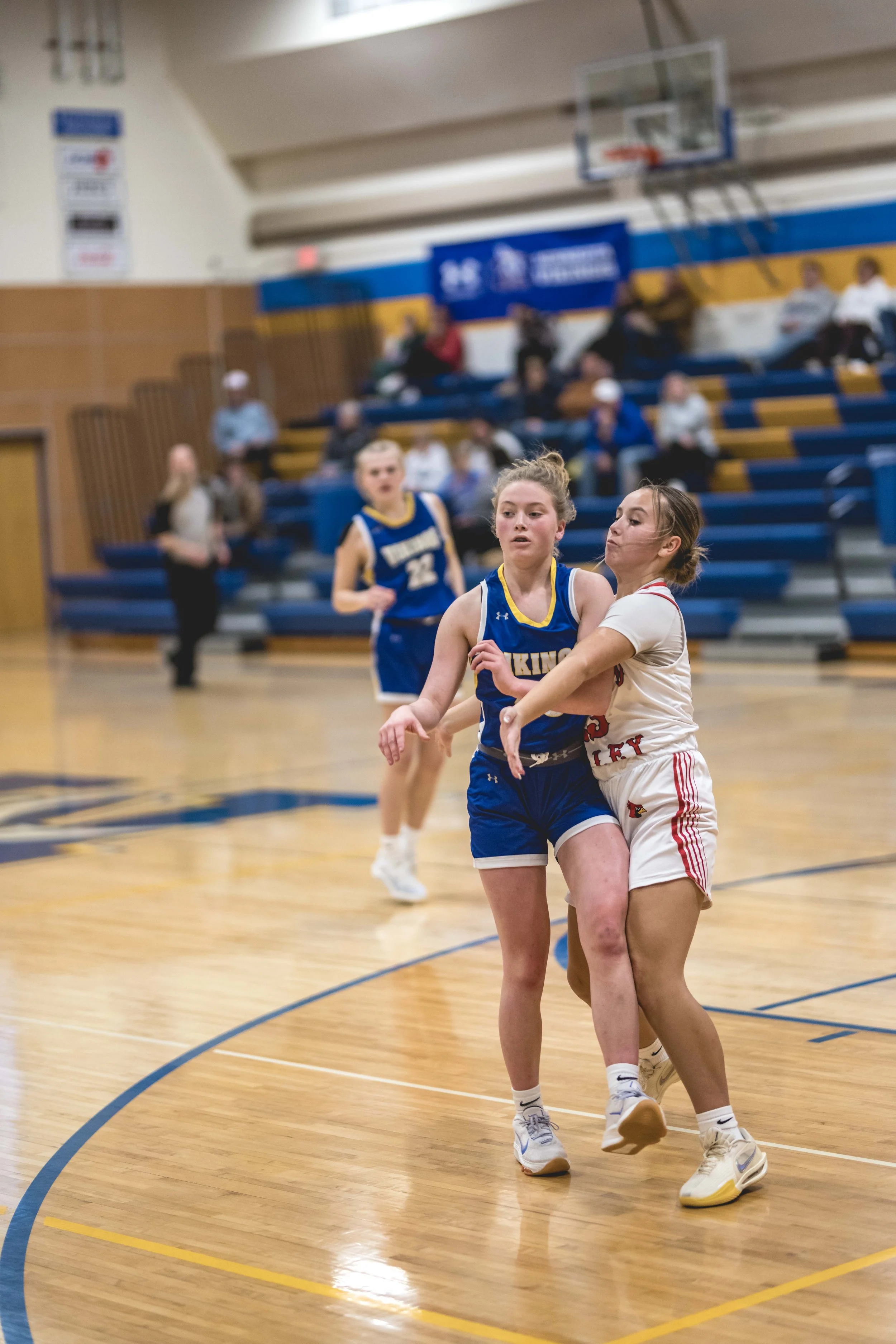 girls bball banner 2526 dark (179 of 195).JPG