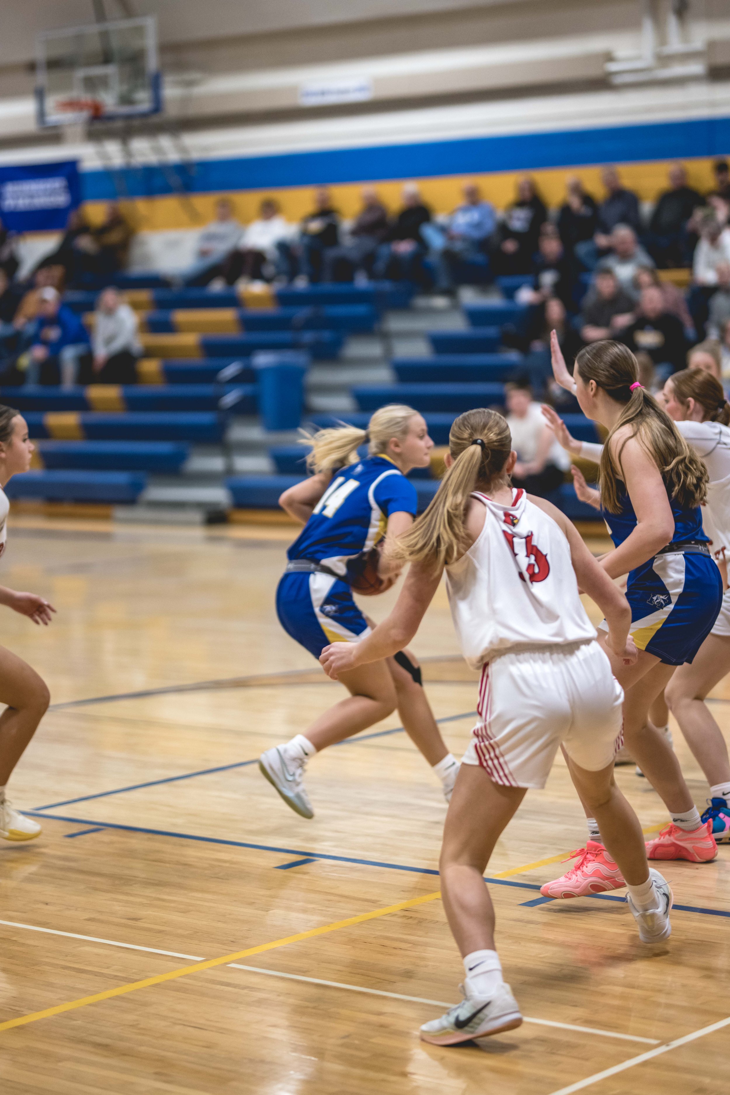 girls bball banner 2526 dark (186 of 195).JPG