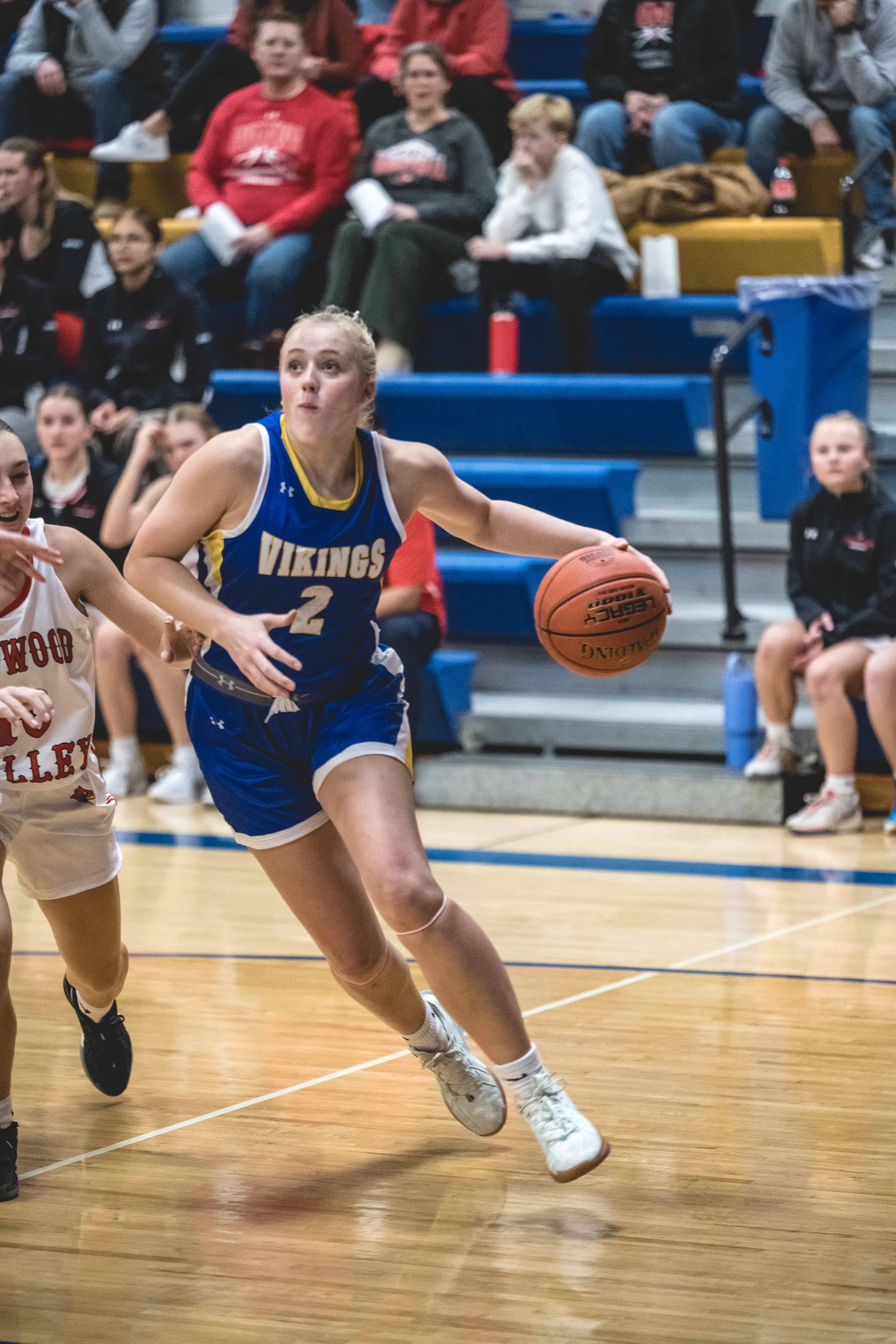 girls bball banner 2526 dark (7 of 195).JPG
