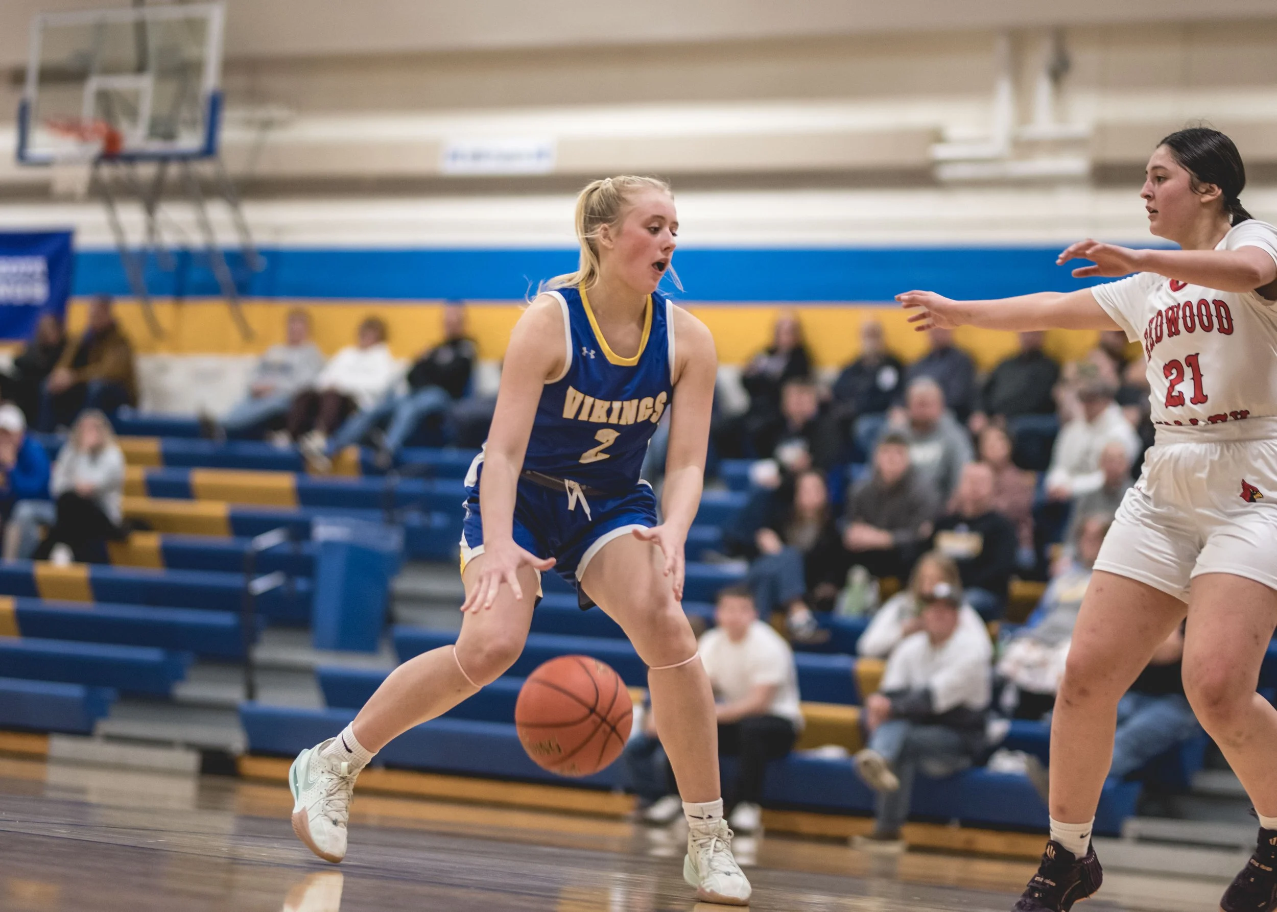 girls bball banner 2526 dark (165 of 195).JPG
