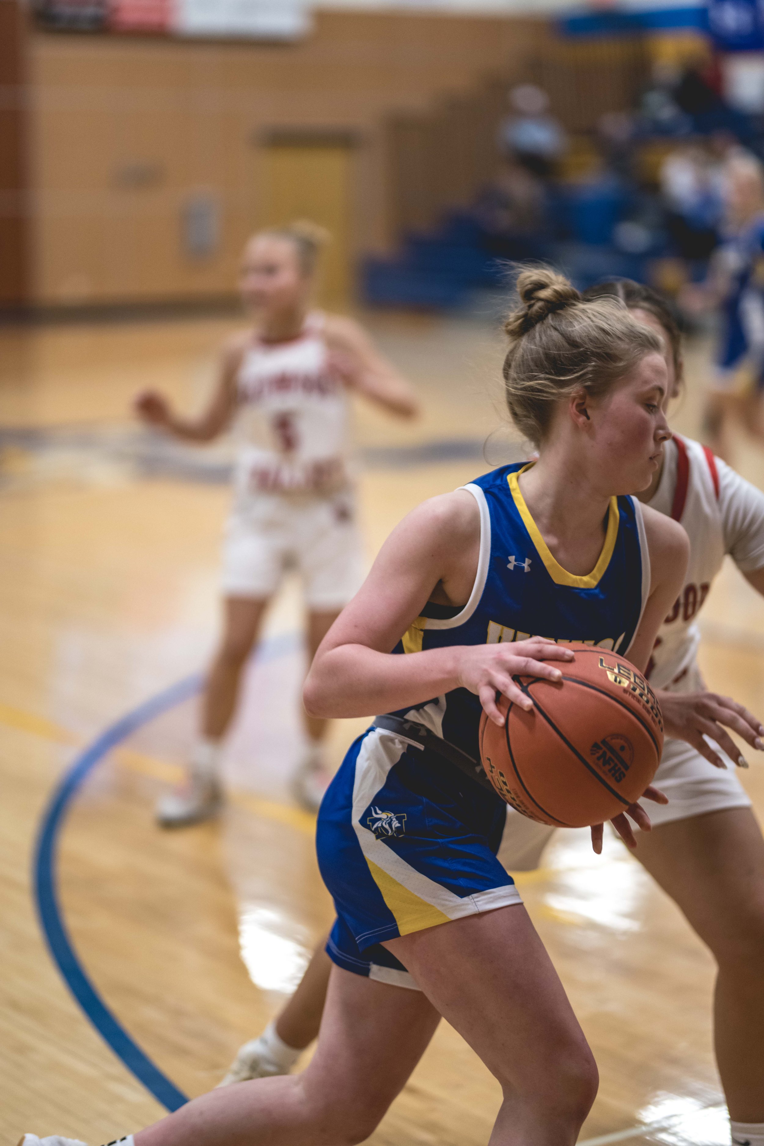 girls bball banner 2526 dark (193 of 195).JPG