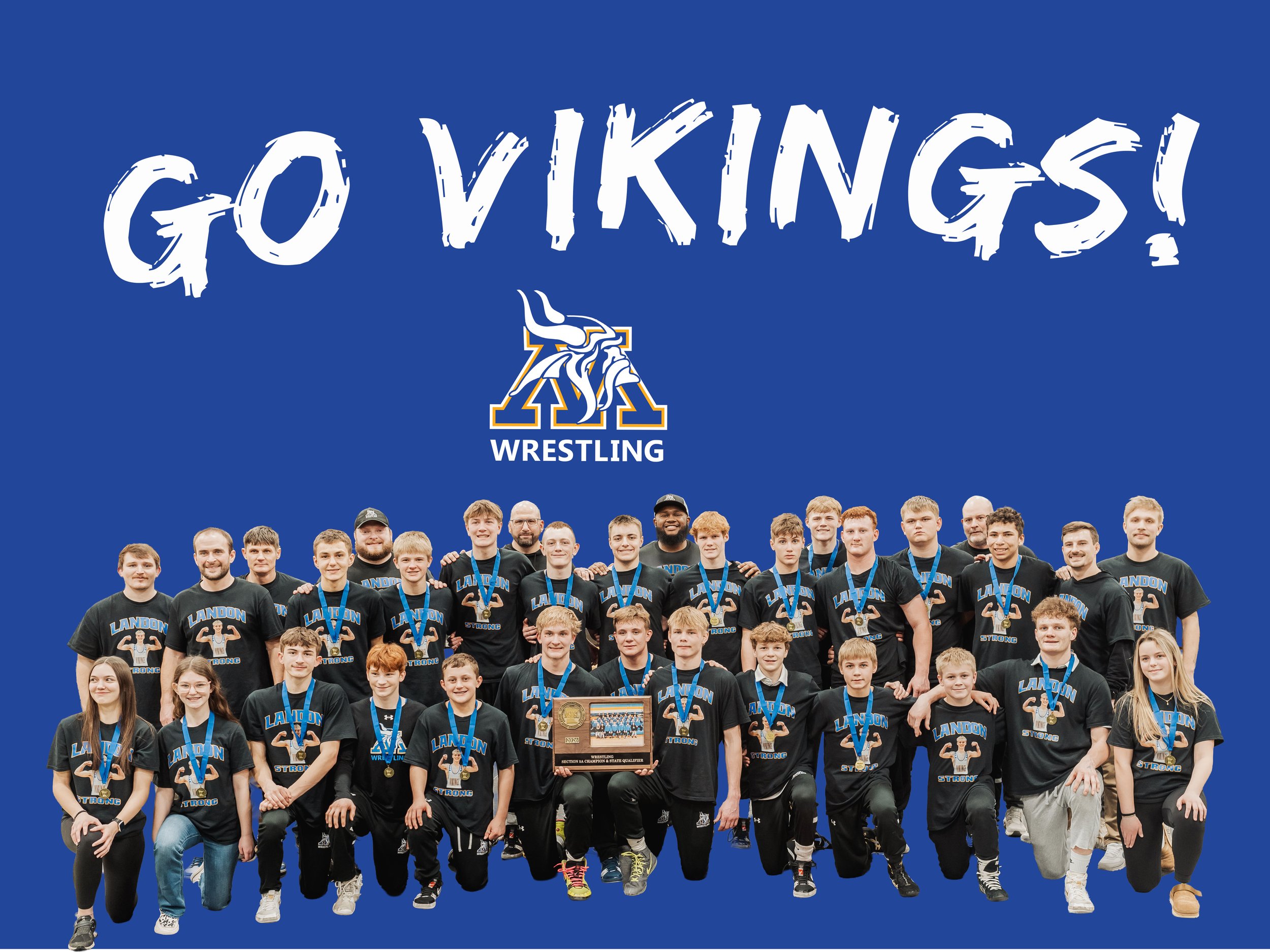 Go Vikings Team Photo.jpg
