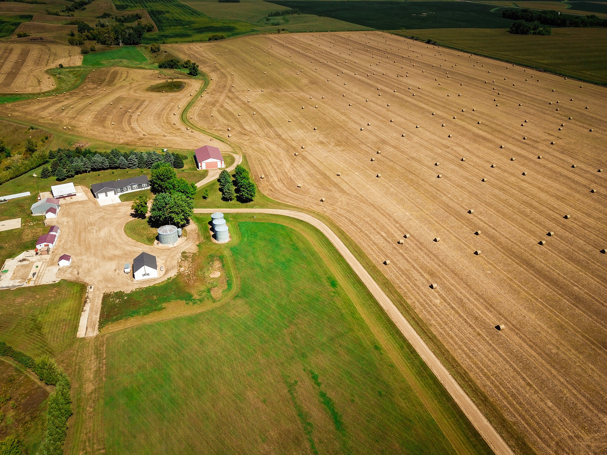 DJI_0008.jpg