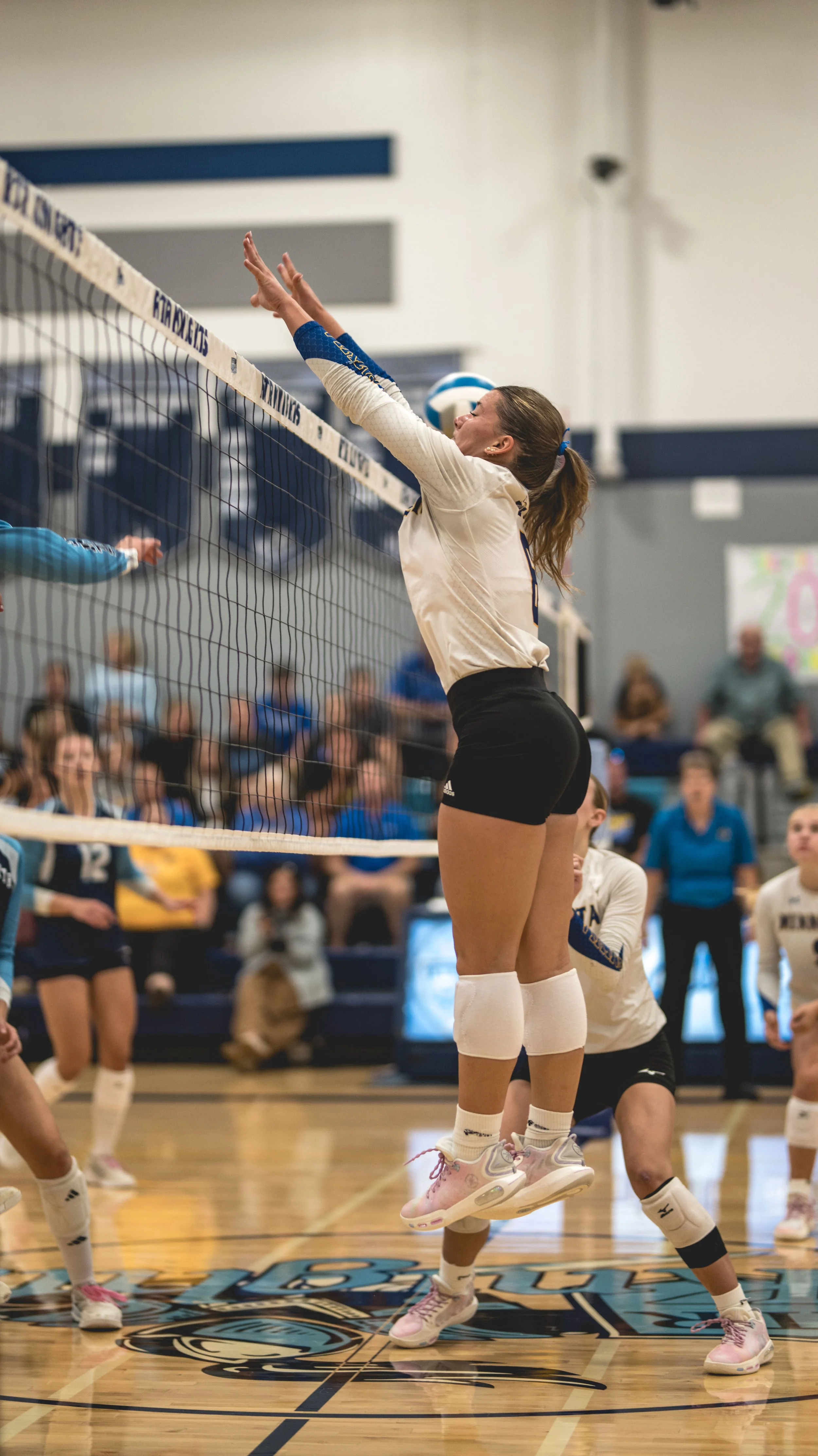 _0ZA1182.jpg