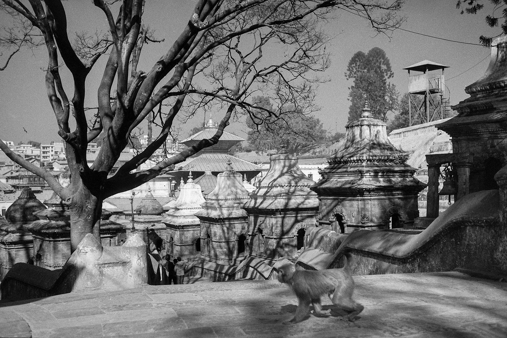 Nepal_Hossein Farahani_Film Photography_B&W (20).jpg