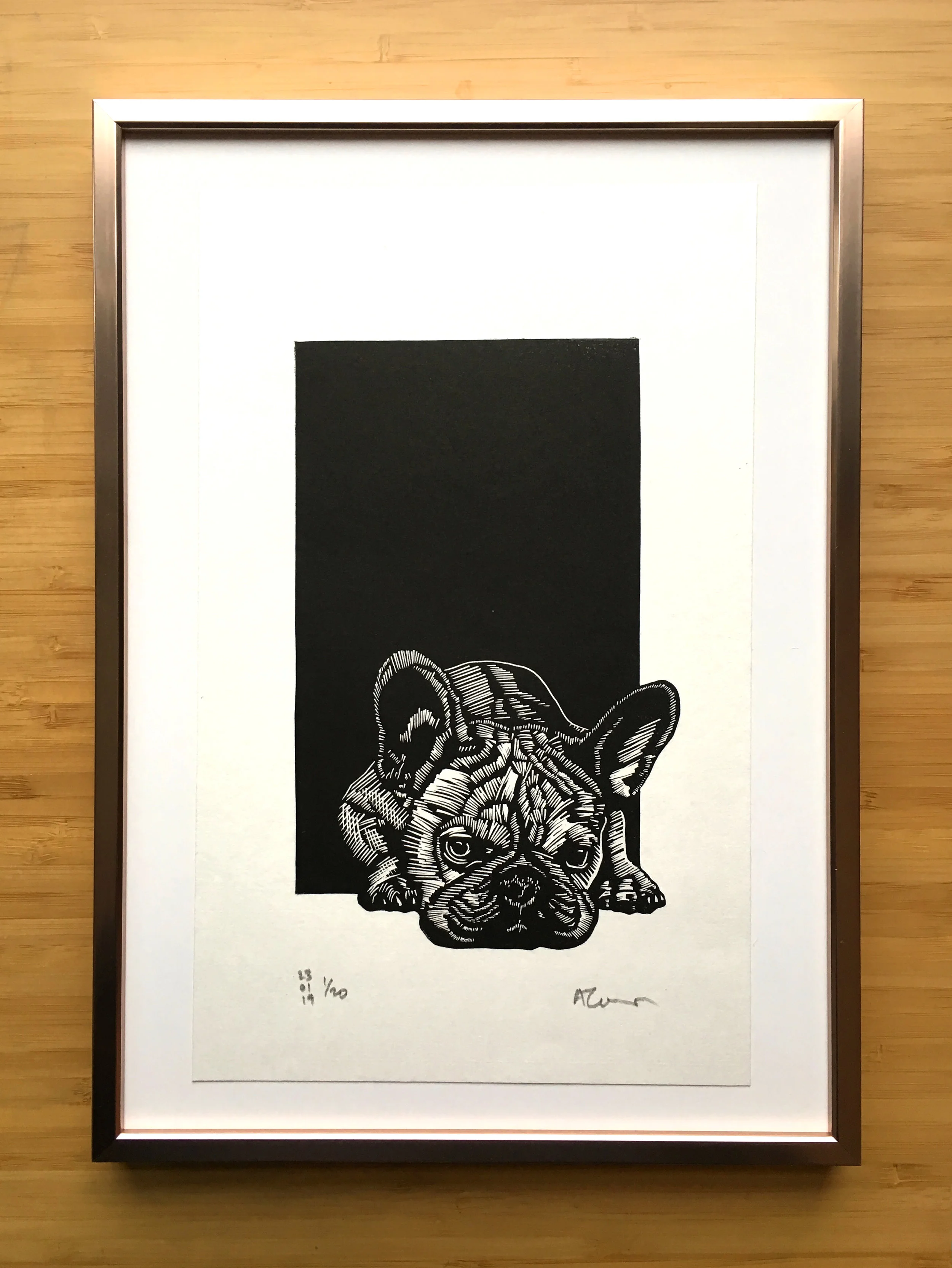 frenchie in frame.jpg