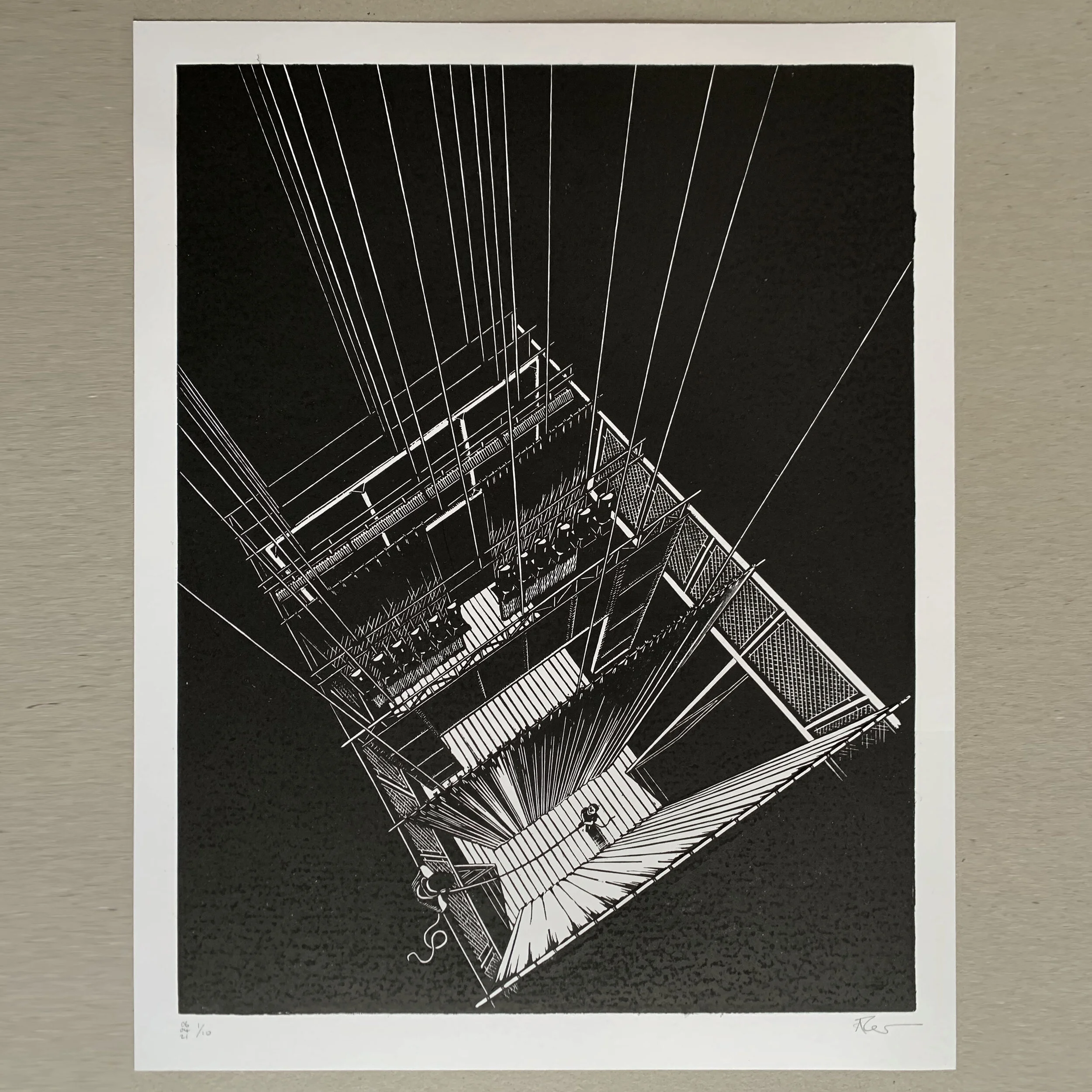 flies on white4.2.jpg