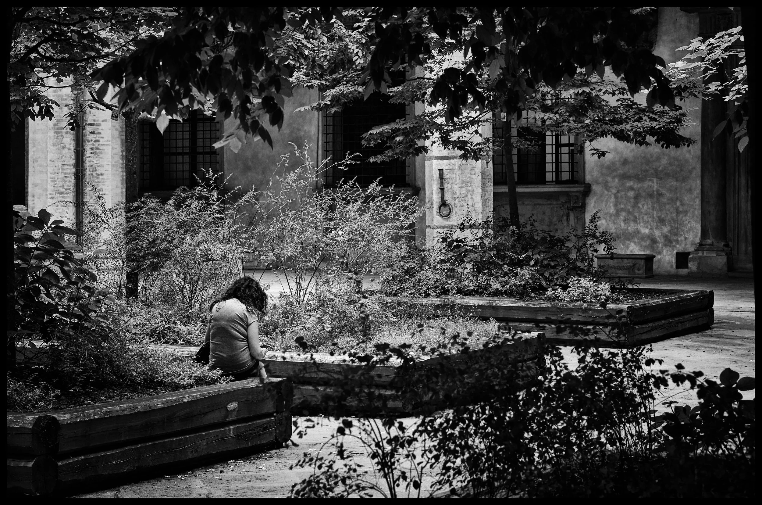 A private moment... (Copy)