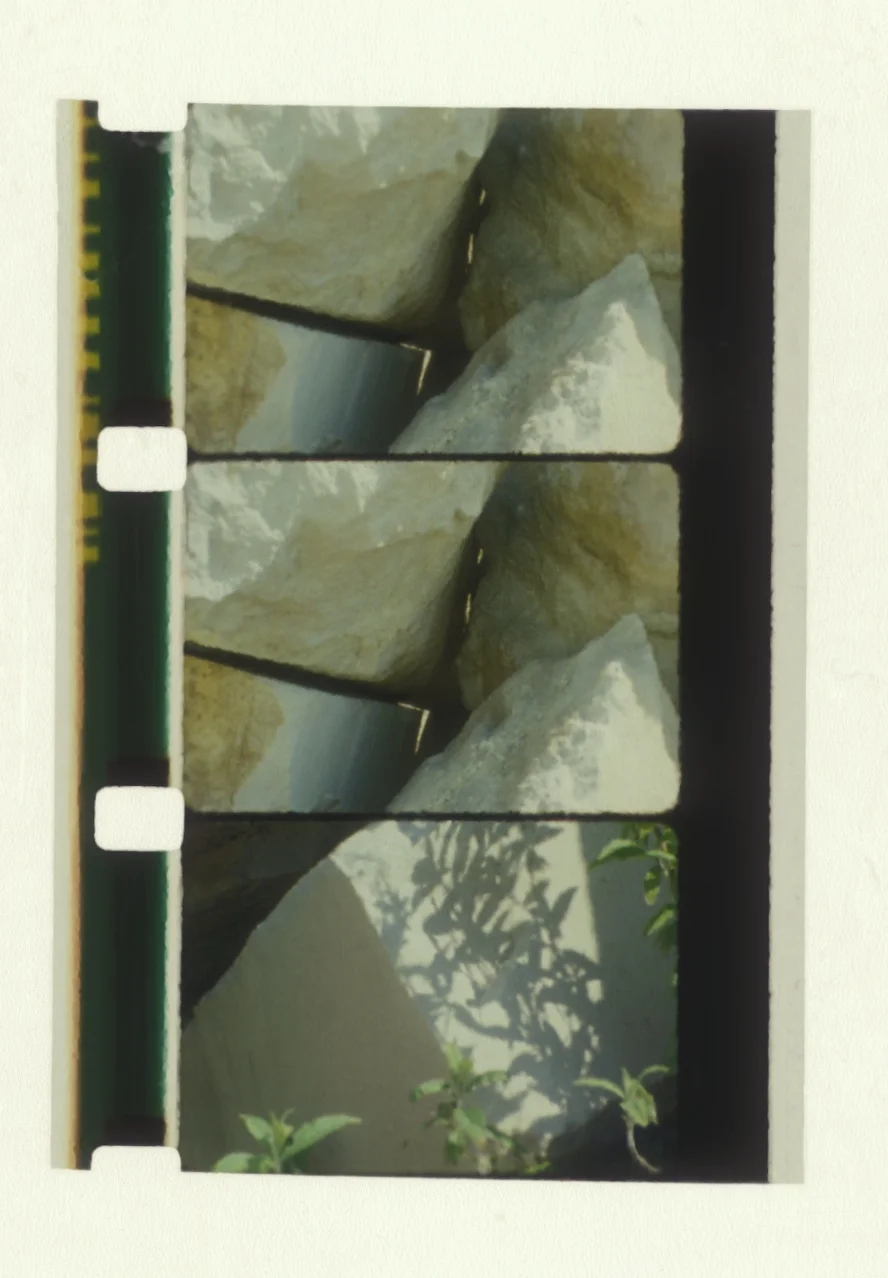 portland 3f Independent.jpeg