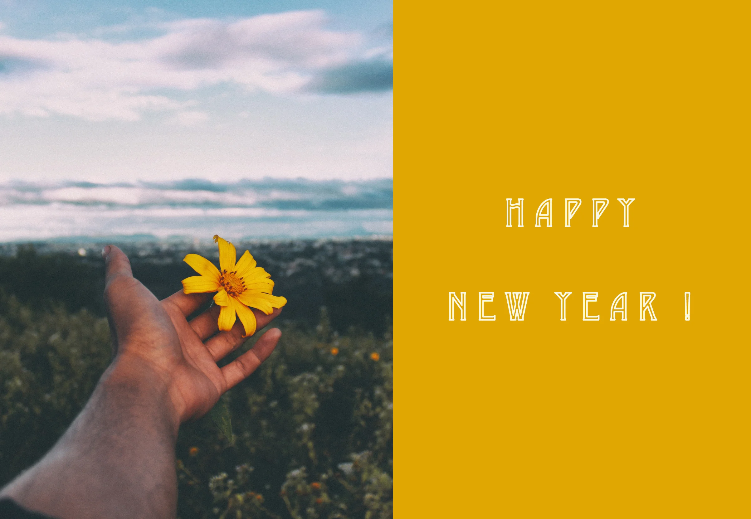 HappyNewYear.jpg