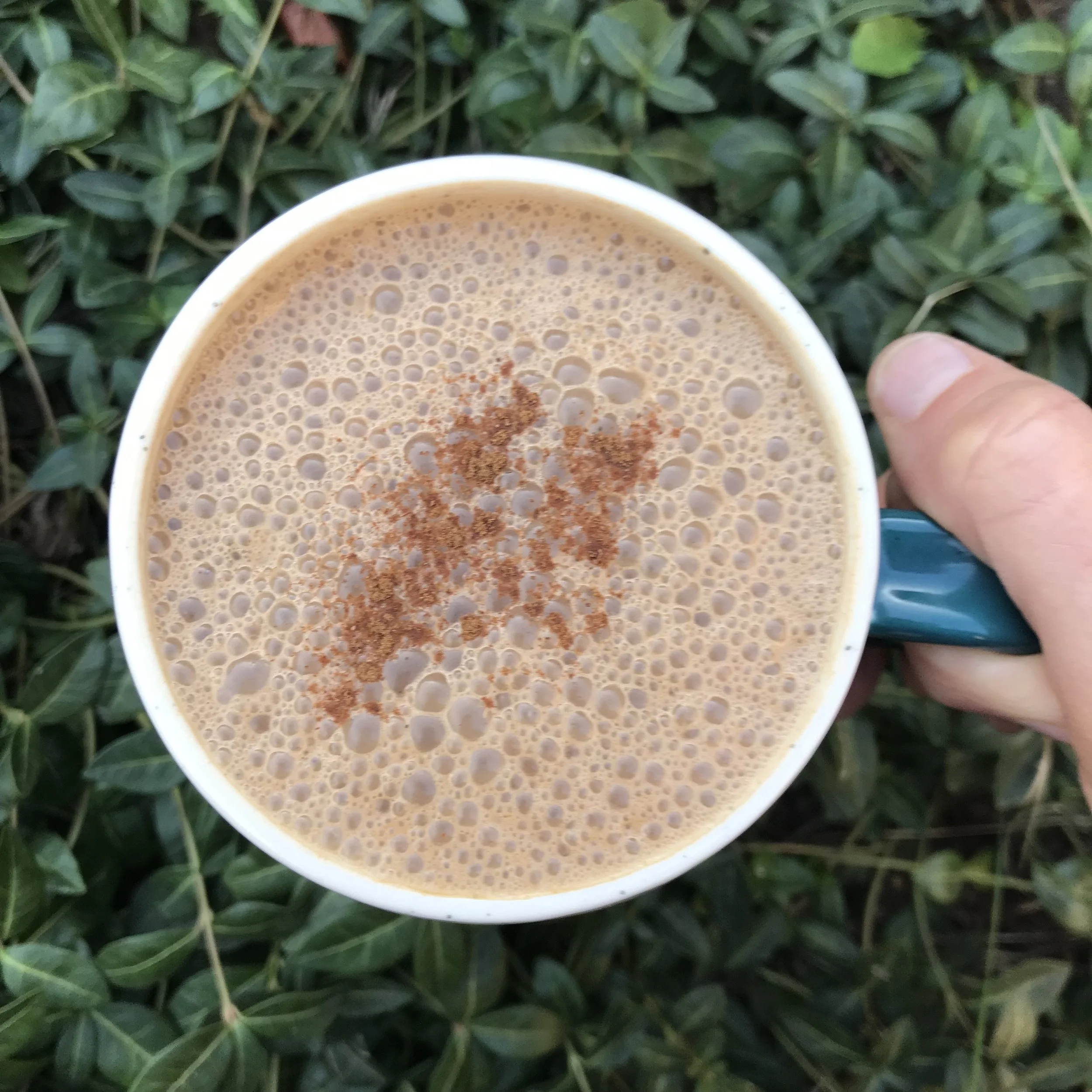 Coffeeless Mushroom Maca Mocha