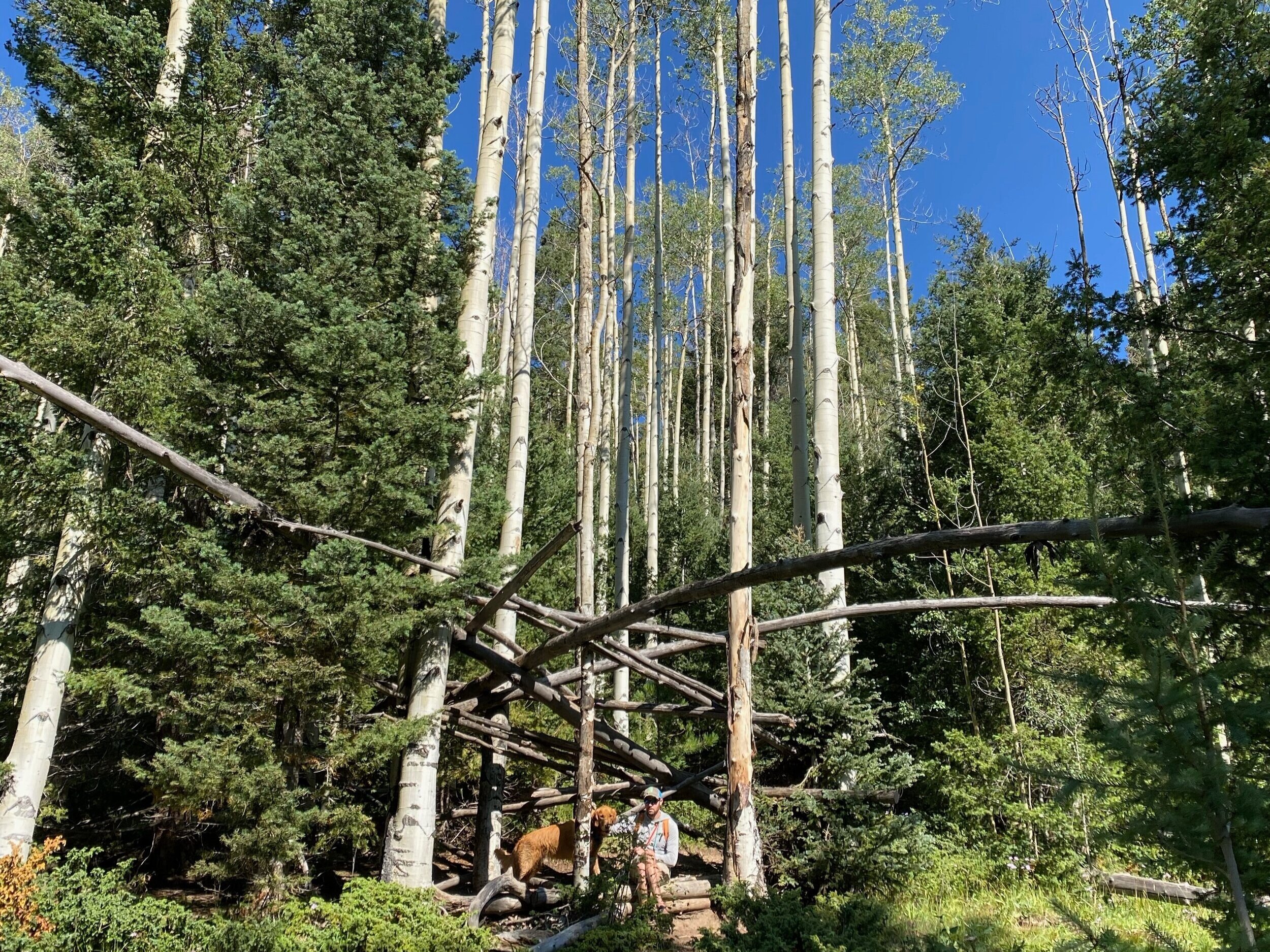 Reigniting with My Why 