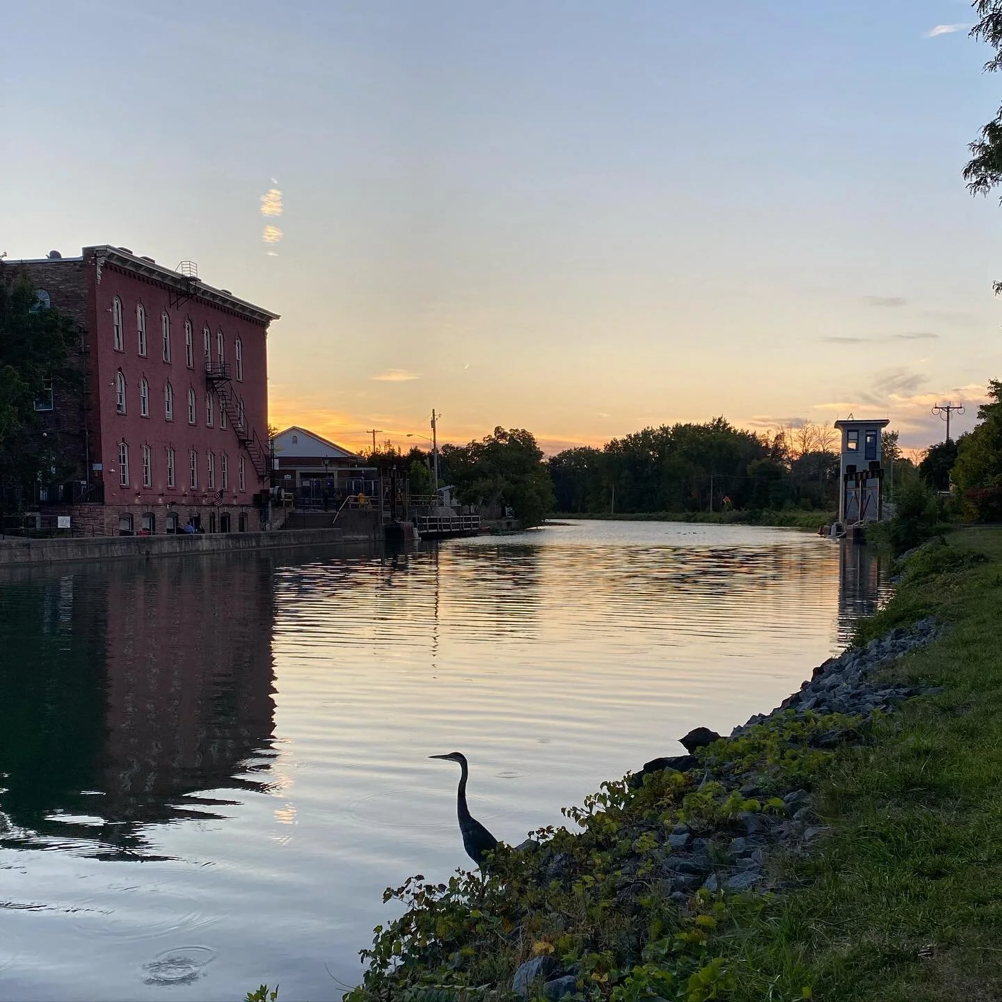 There is beauty in the every day. 

Spotted on this evening&rsquo;s walk. Parker and I hung out with this crane for a few minutes. I couldn&rsquo;t stop smiling.