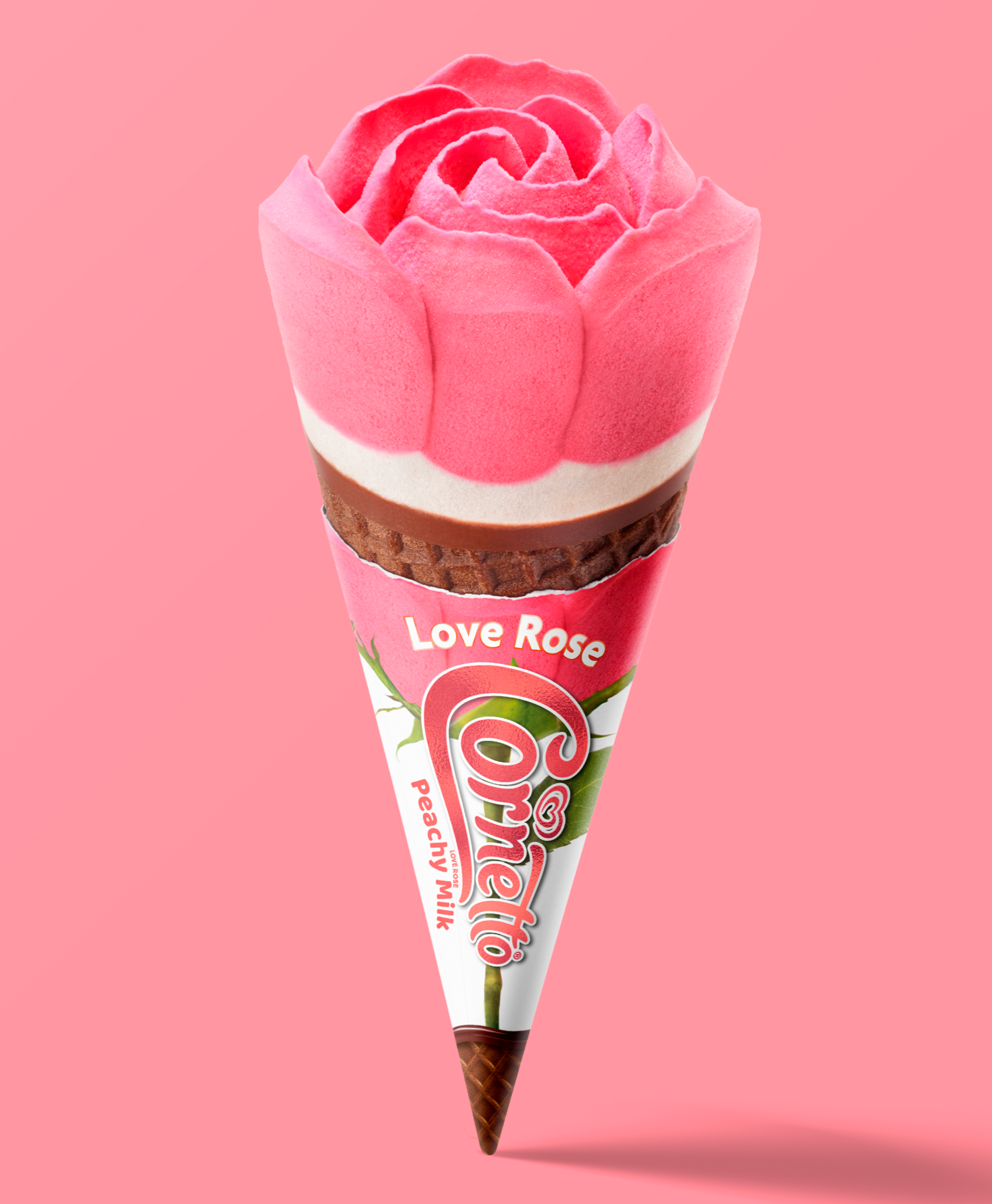 WALL'S LOVE ROSE