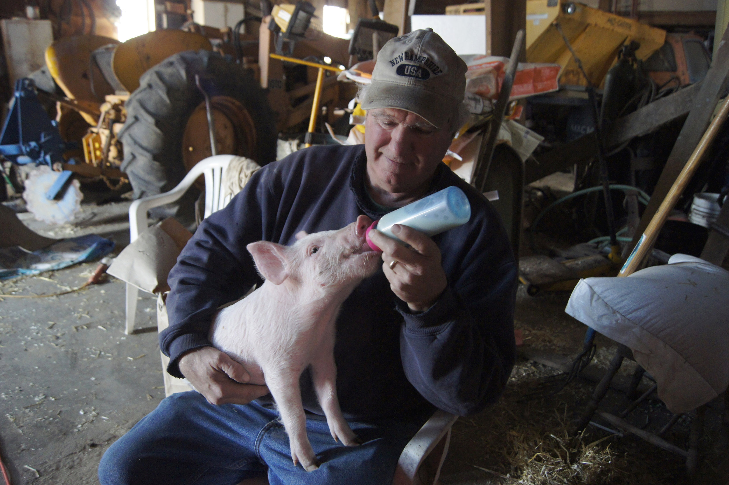 Fred's Pork_Bottle Feeding (lightened).jpg