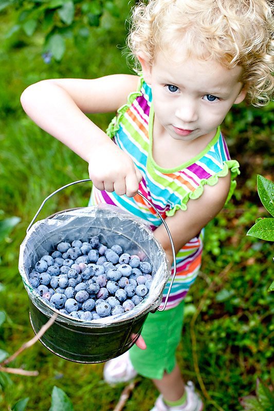 Blueberry girl.jpg