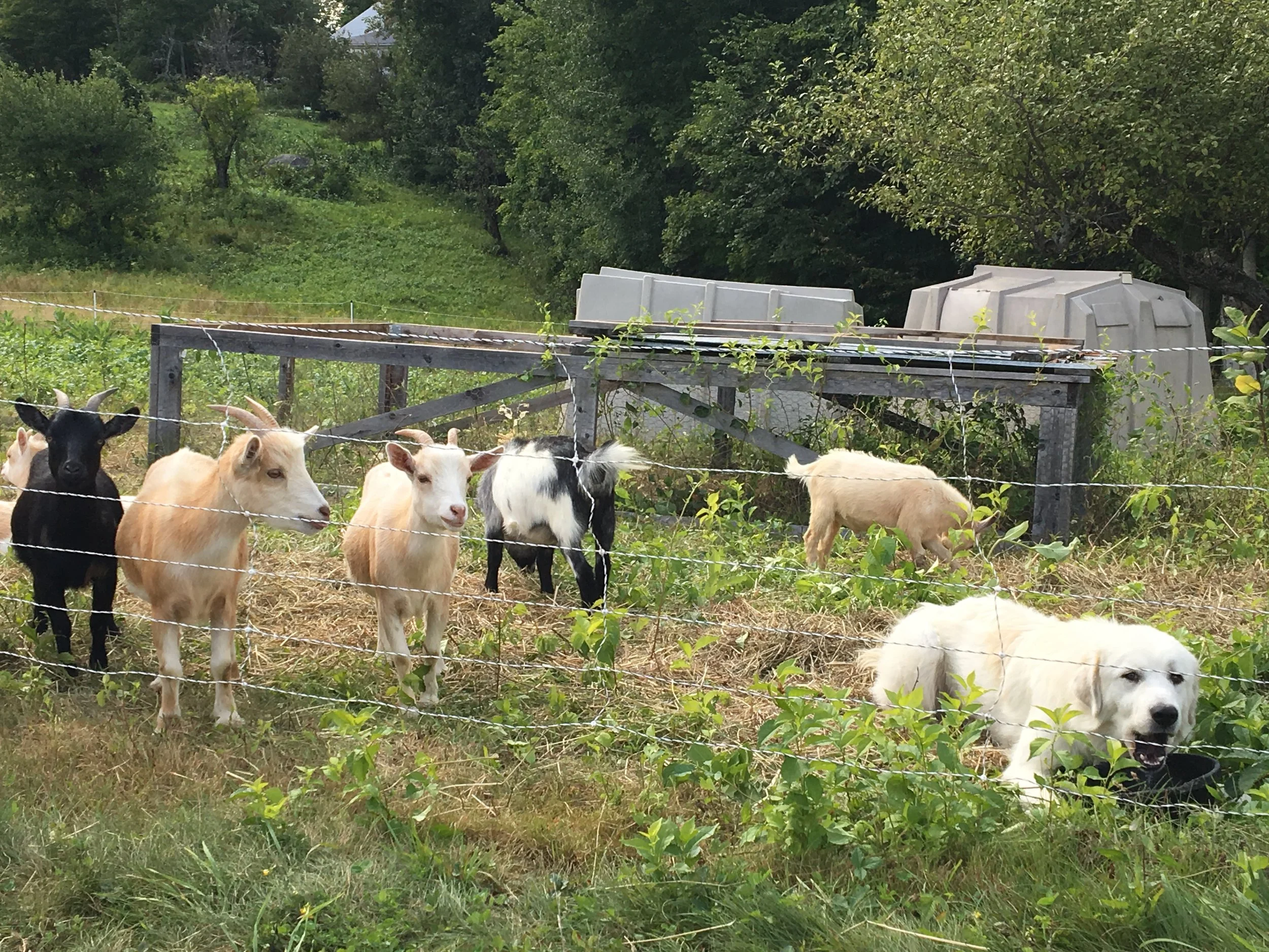 2018 Monadnock Farm Tour ANNOUNCED