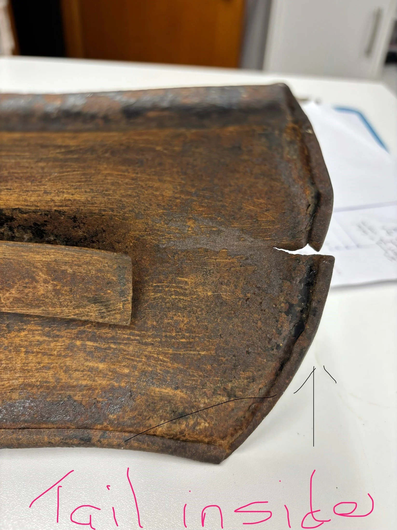 rear tail.jpg