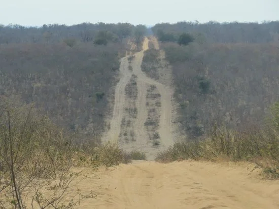 road to kasane 2.jpeg