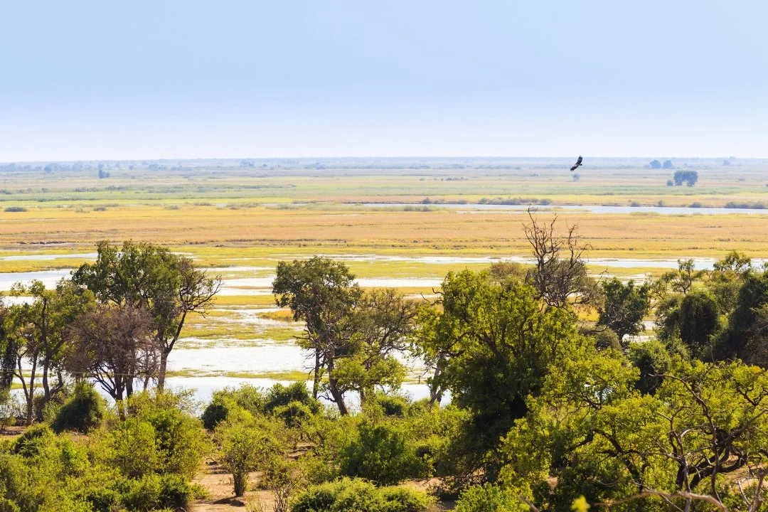 Exploring-the-Chobe-River.jpg