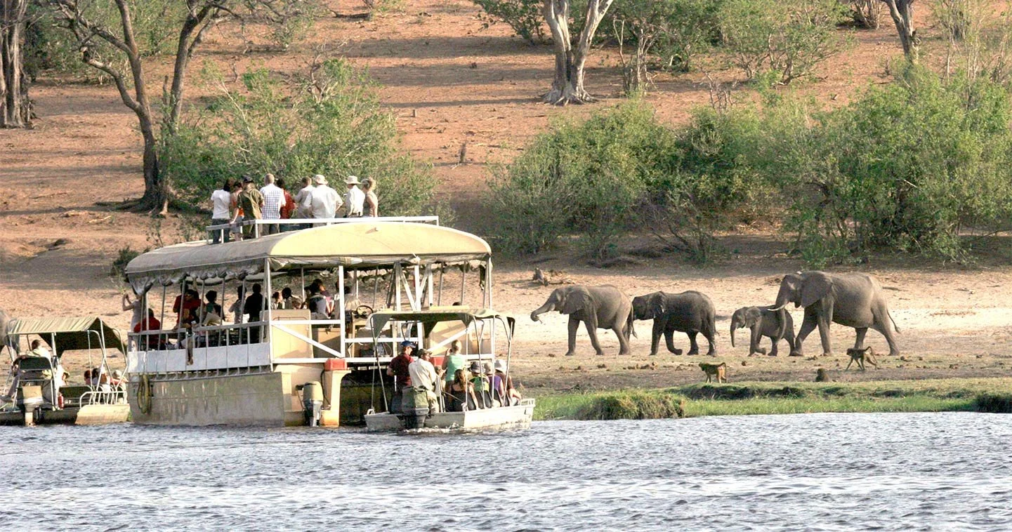 river-cruise-chobe-safari-lodge.jpg