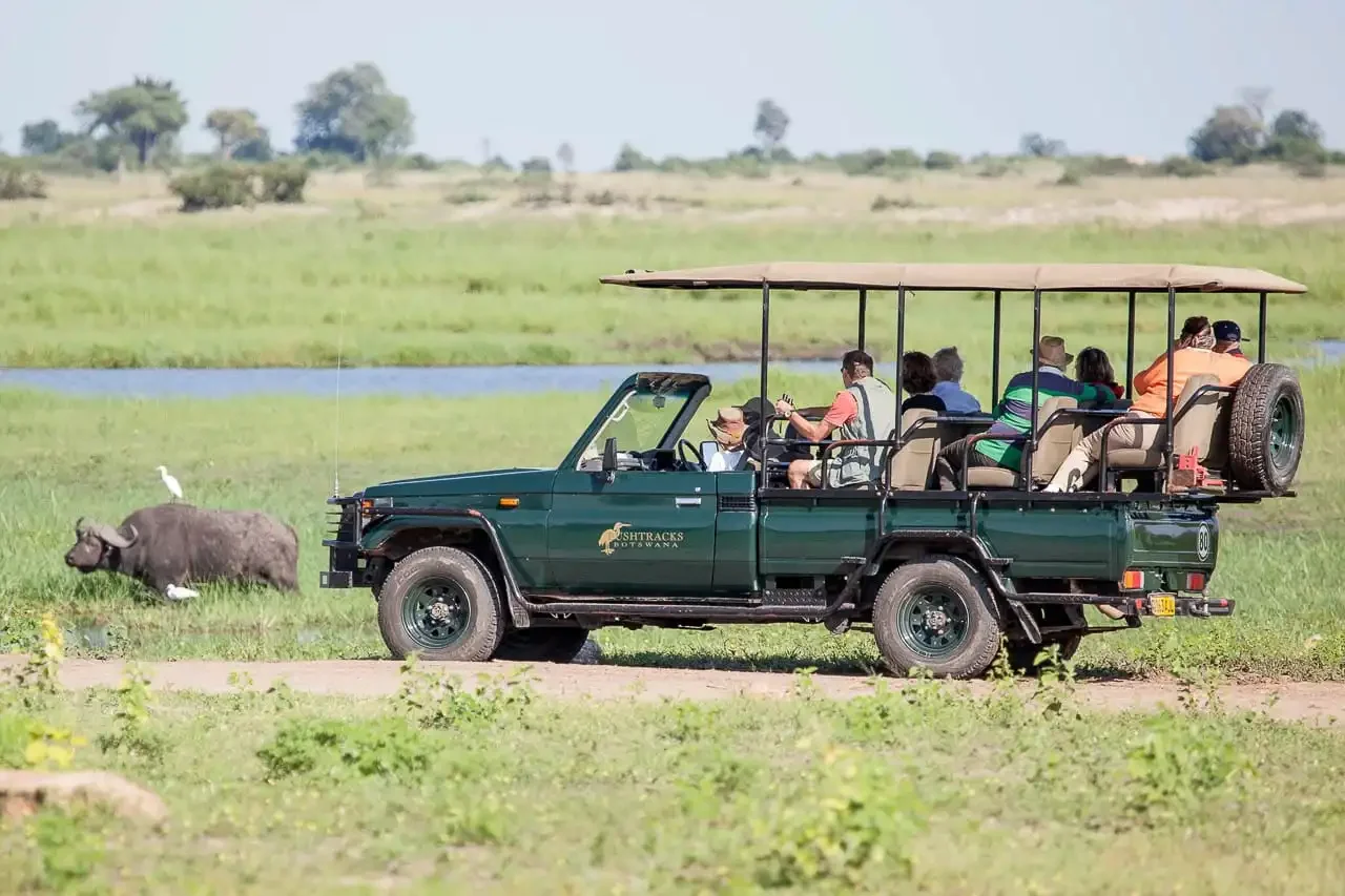 Chobe-Safari-Lodge-Game drive1.jpg.webp