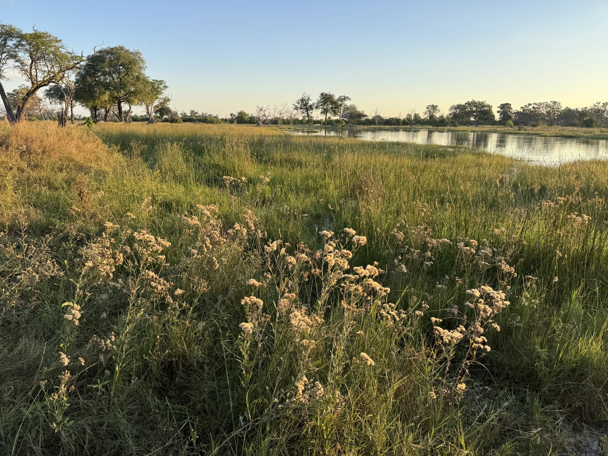 IMG_0521.JPG