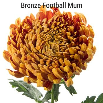 Bronze Football Mum