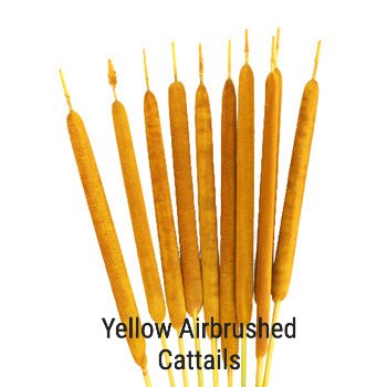 Yellow Airbrushed Cattails