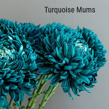 Turquoise Football Mum