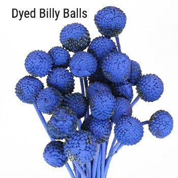 Blue Dyed Billy Balls