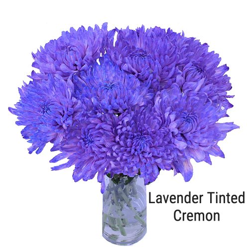 Lavender Tinted Cremon