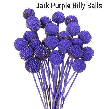Dark Purple Billy Balls