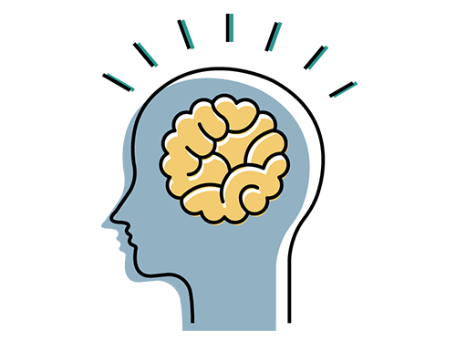brains-medium.png