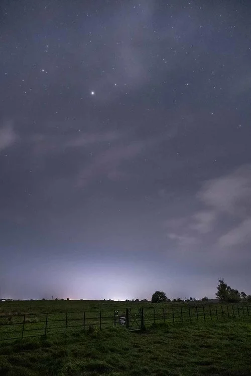 With Firecrest Nightscape